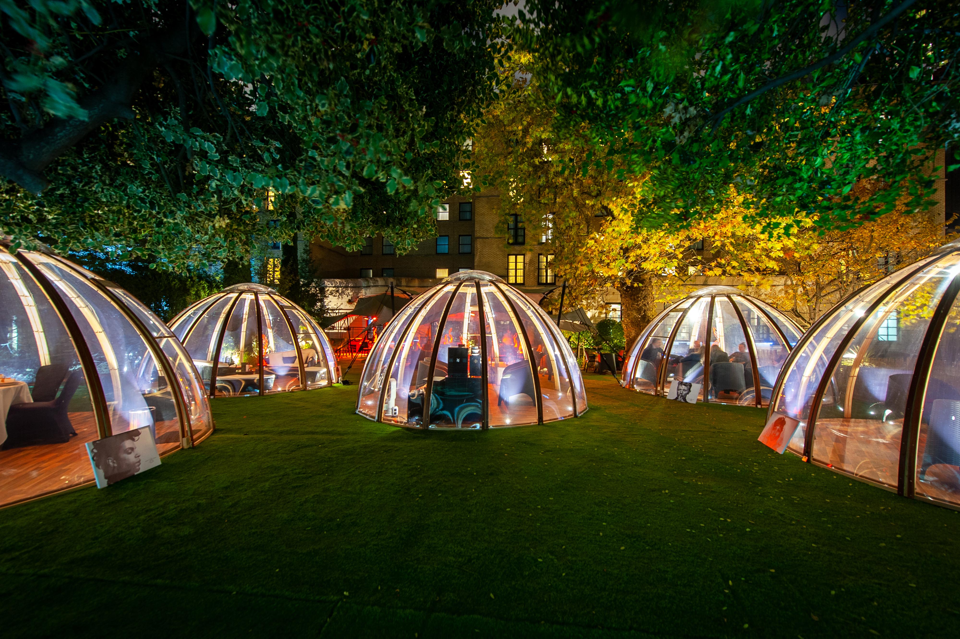 Transparent domes on grass for intimate outdoor events and gatherings.