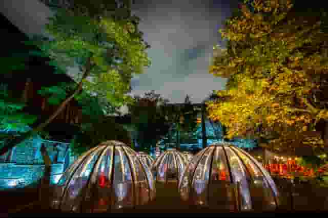 The Domes