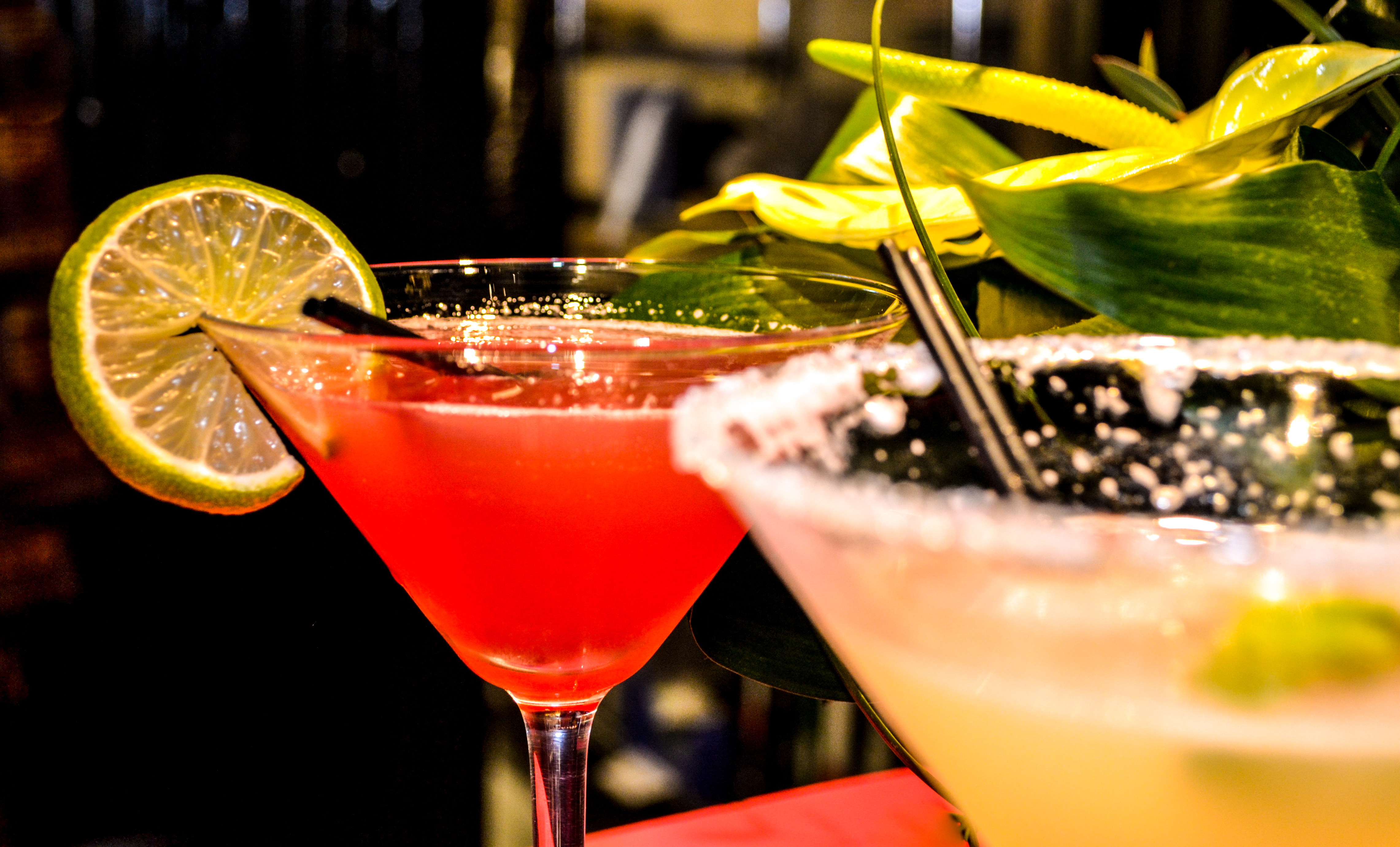 Vibrant cocktail display at Hotel Pelirocco bar for event planning and networking.