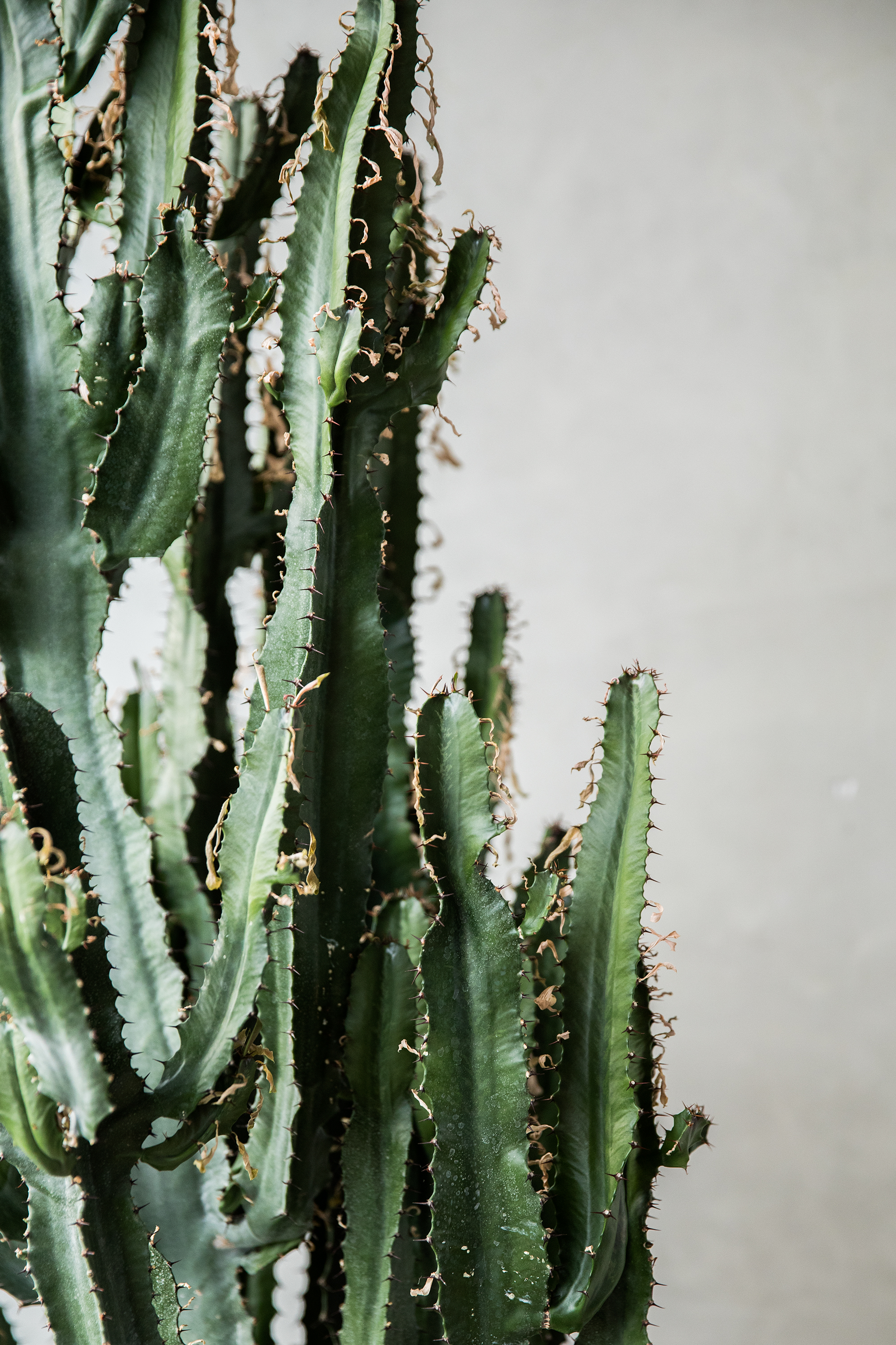 Whole Venue - auuula21152.jpg