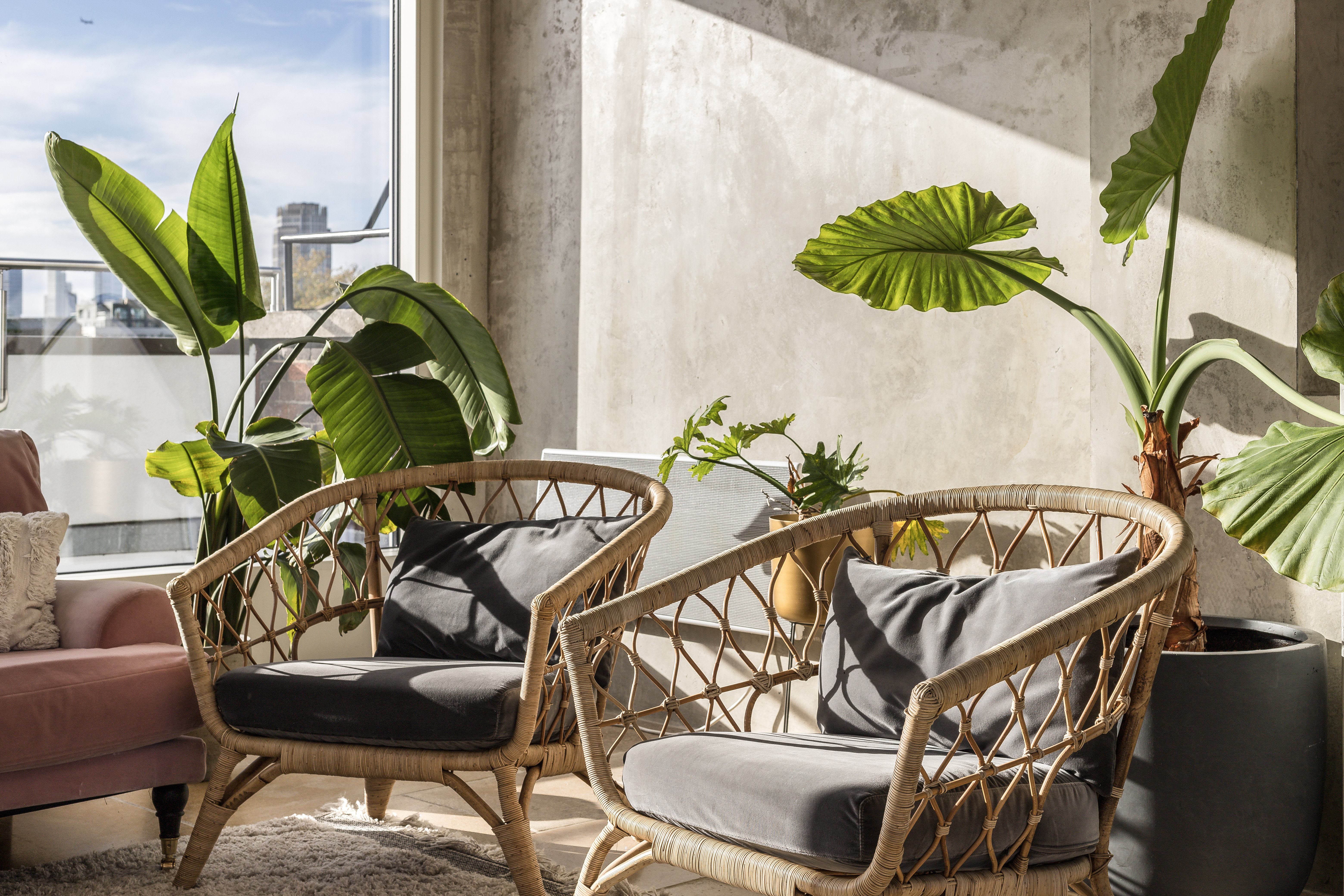 Whole Venue - megf5u1az4k.jpg