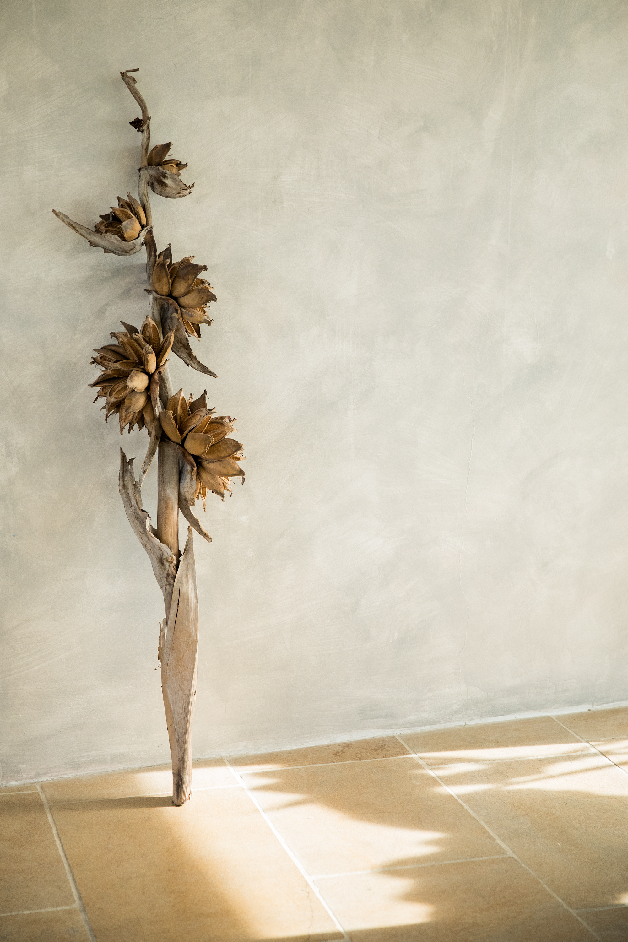 Whole Venue - naz0ixera1r.jpg