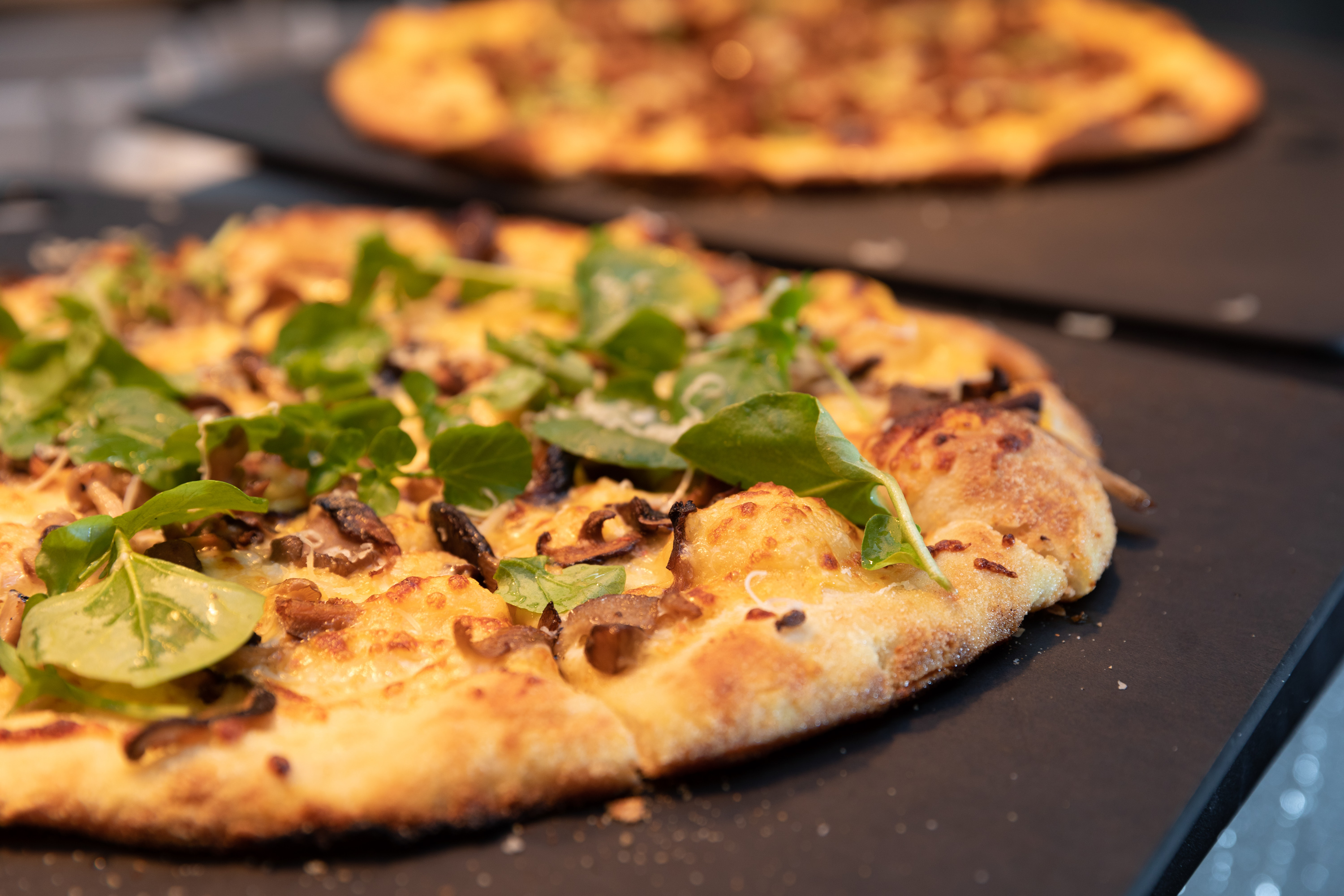 Basement Bar - giiramv0a1t.jpg