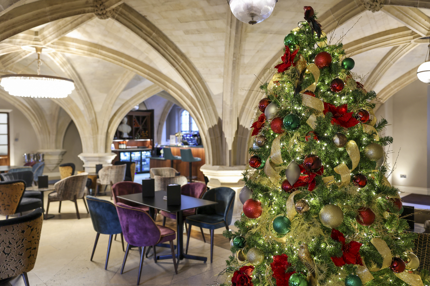 Members' Common Room - 342gtce53k1.jpg