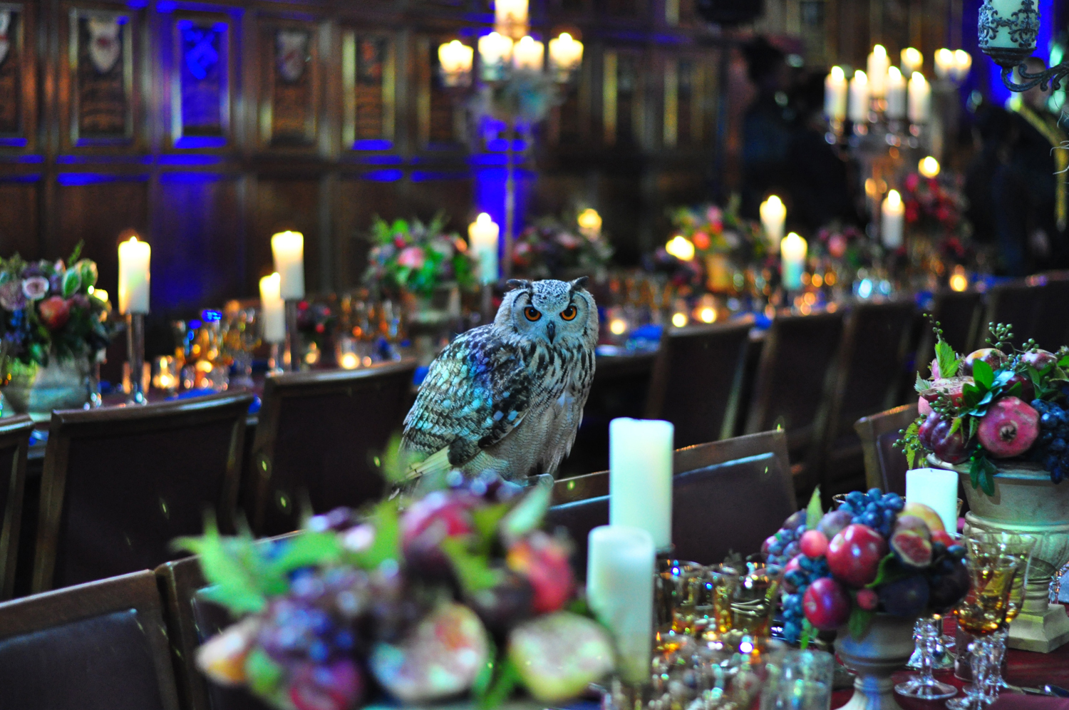 Elegant Elizabethan Hall event space with floral centerpieces and owl for upscale gala.