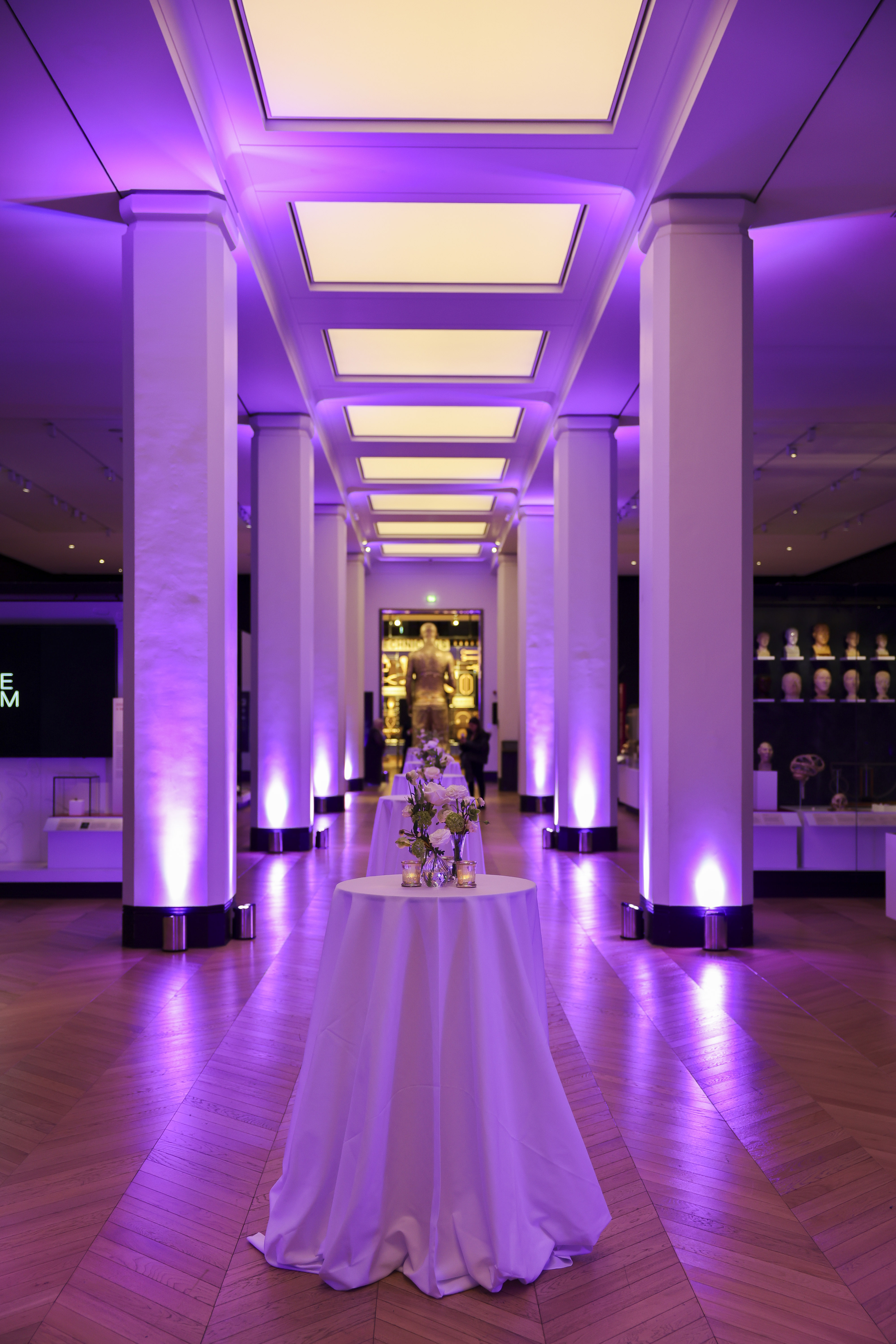 Medicine: The Wellcome Galleries  - 8d83413f-4960-4aaa-b772-0c932cf4f420.JPG