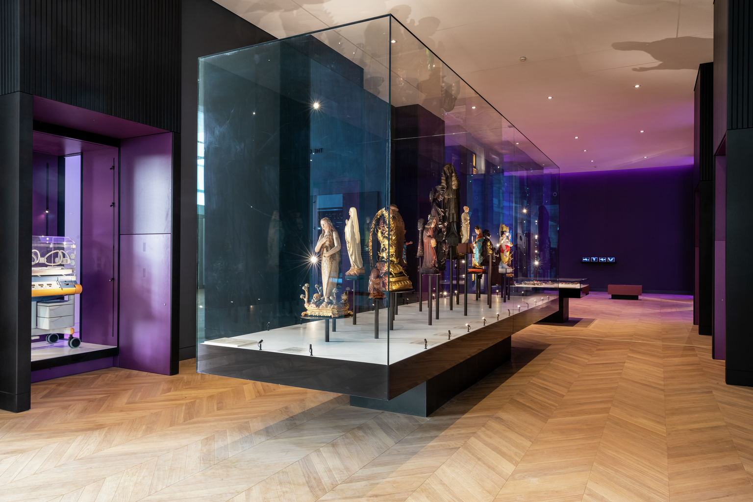 Modern exhibition space with glass displays at Medicine: The Wellcome Galleries, Science Museum.