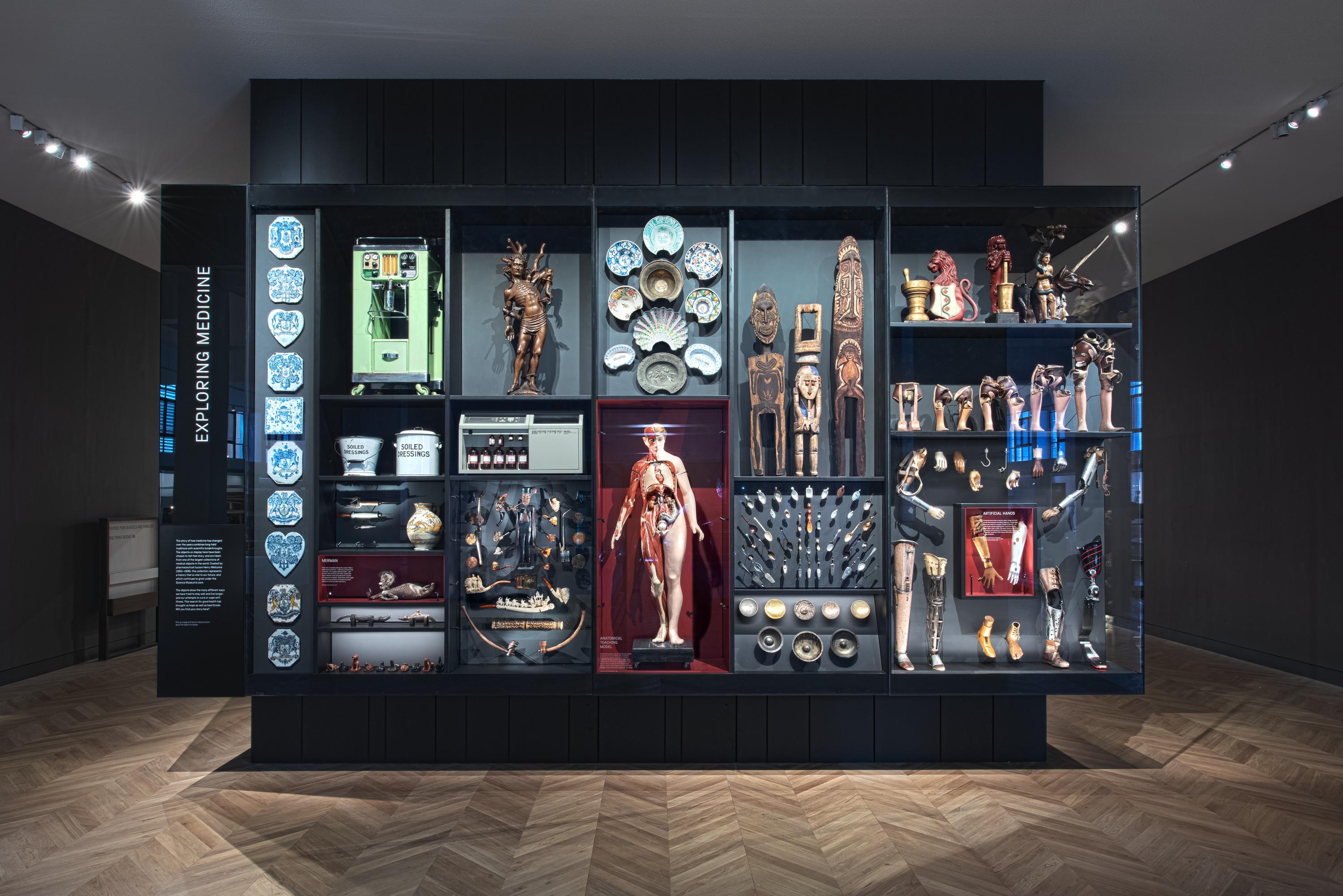 Anatomical models at Medicine: The Wellcome Galleries, ideal for educational events.