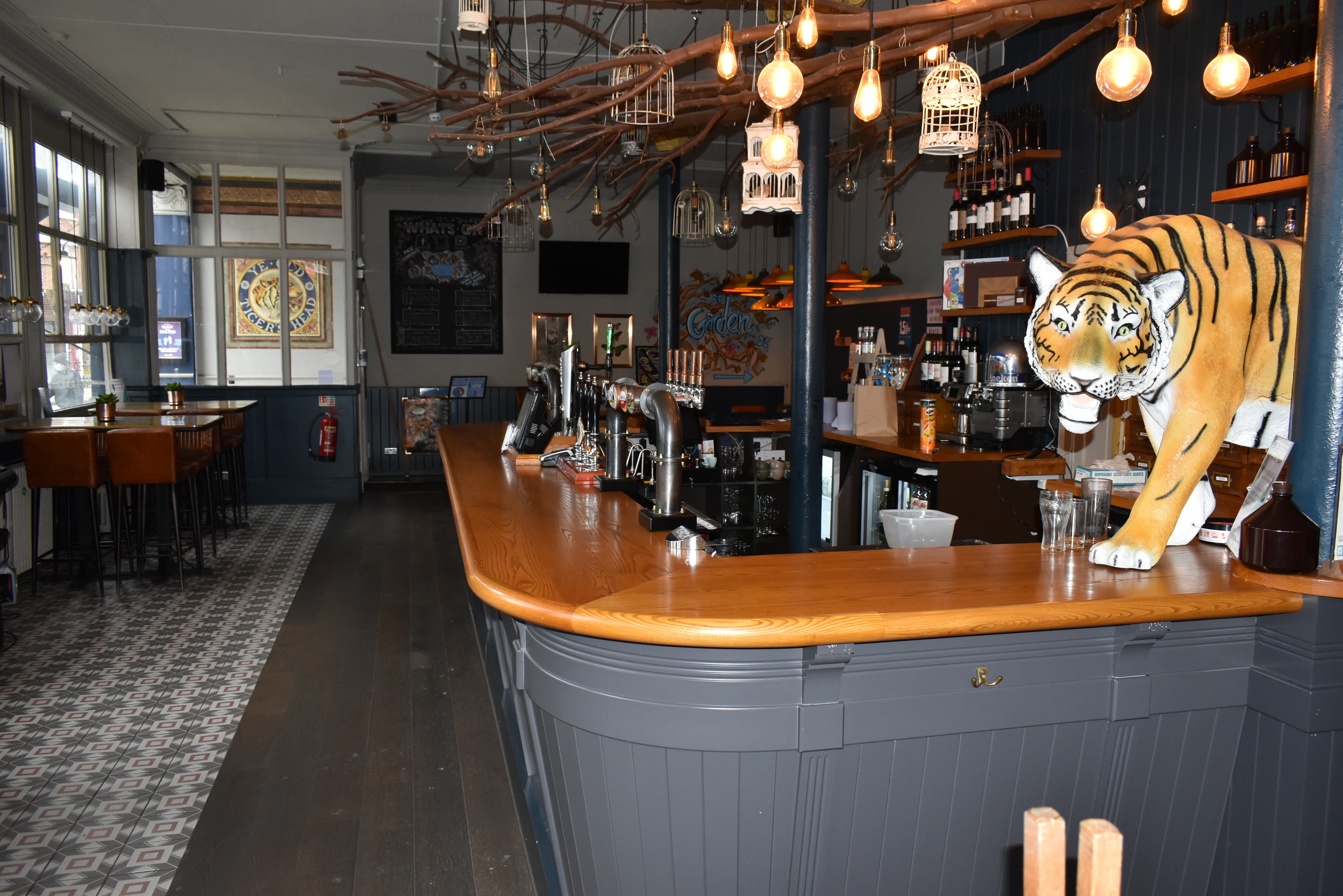 Tigers Lounge - qh2tfk4vh2g.JPG