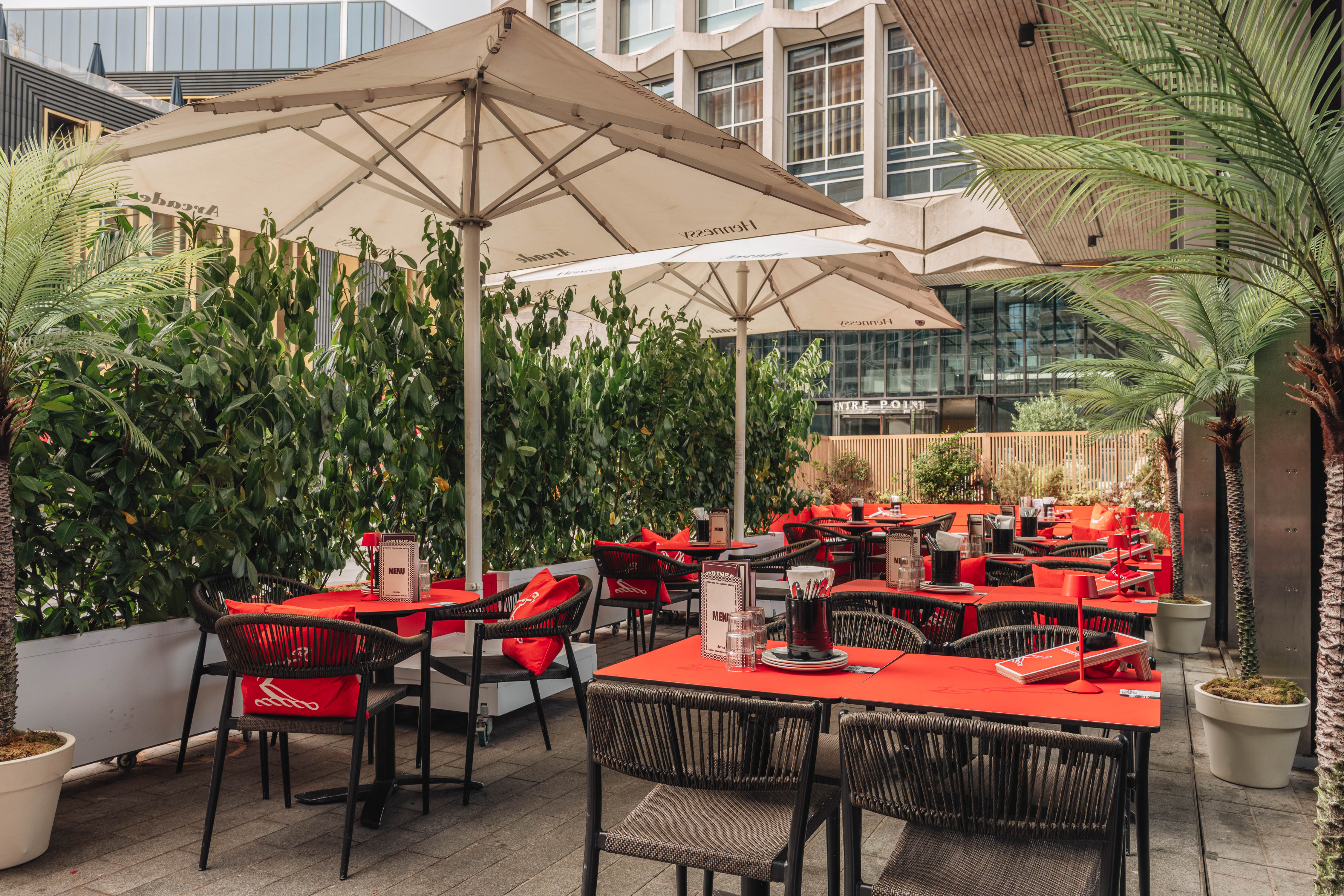 The Terrace - 491577da-a3a4-4bc6-8547-367e7850199a.jpg