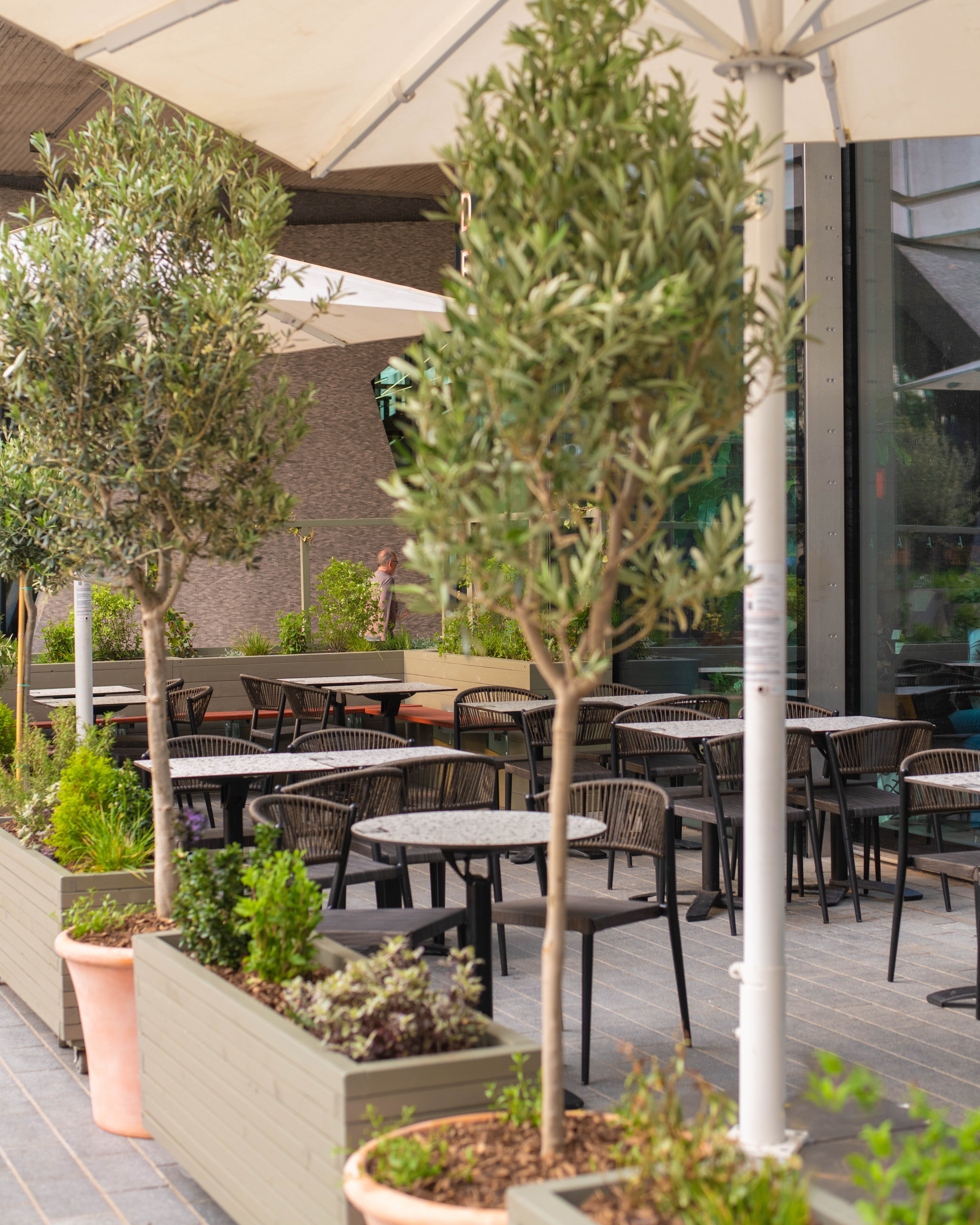 The Terrace - 60d28f88-6f81-4ece-ae23-073da1cff800.jpg