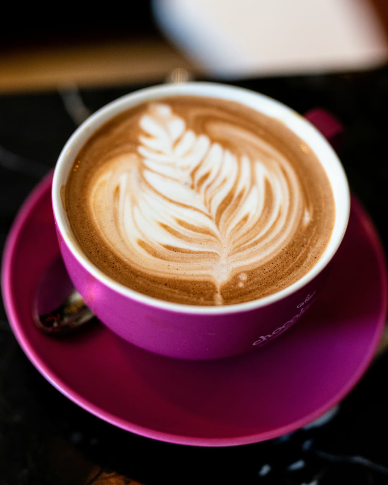 The Bloom - gxjsxsf3bhq.jpeg