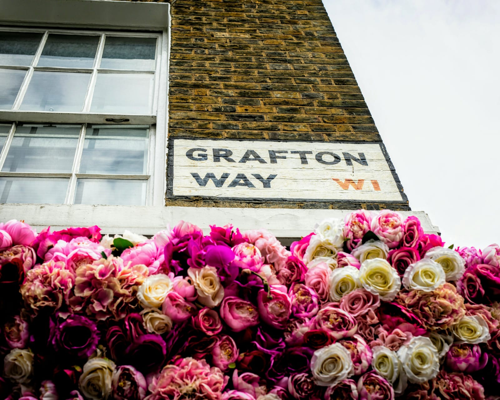 The Bloom - jpgfwrzfdf0.jpeg