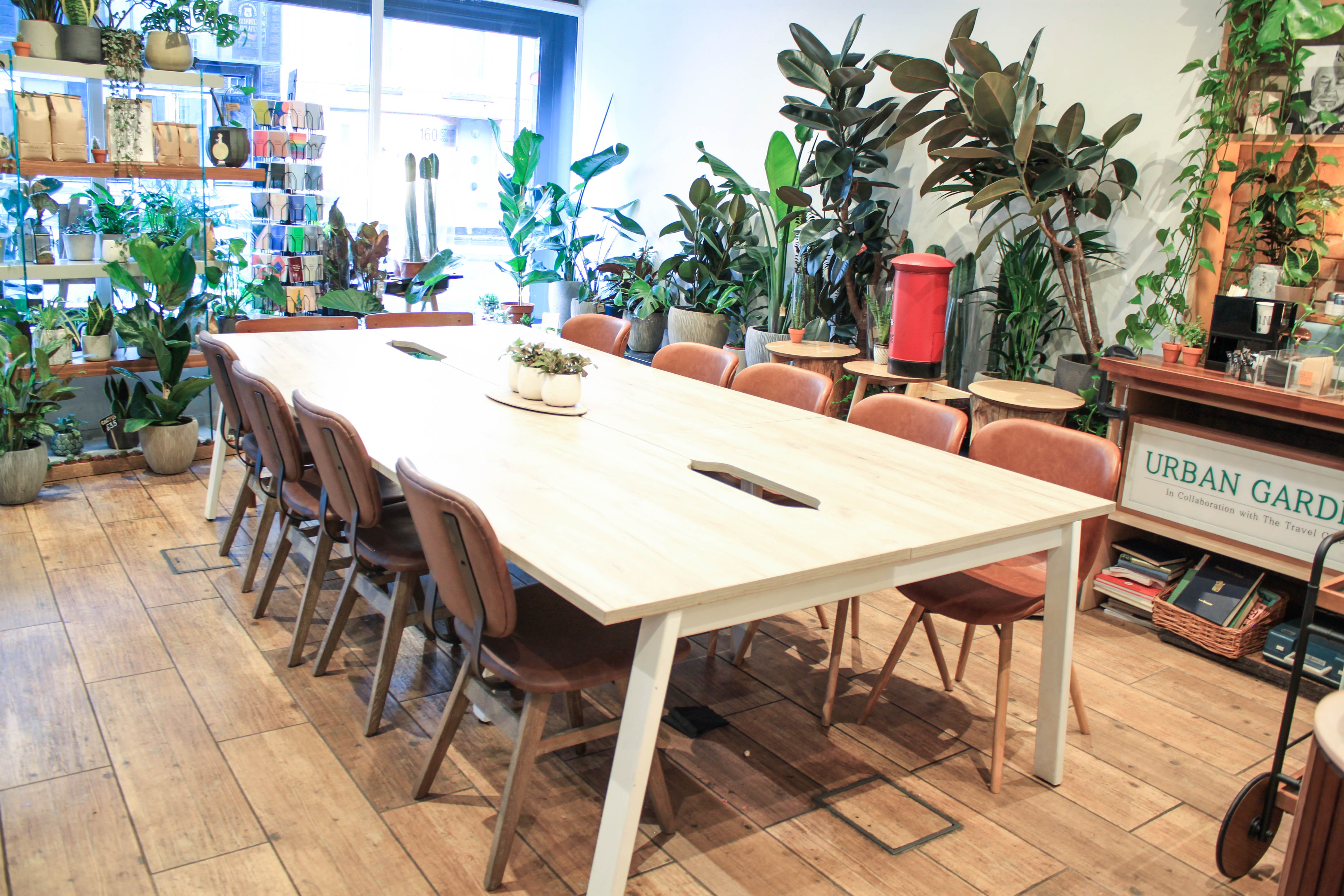 Modern meeting room with large table and greenery for collaborative workshops.
