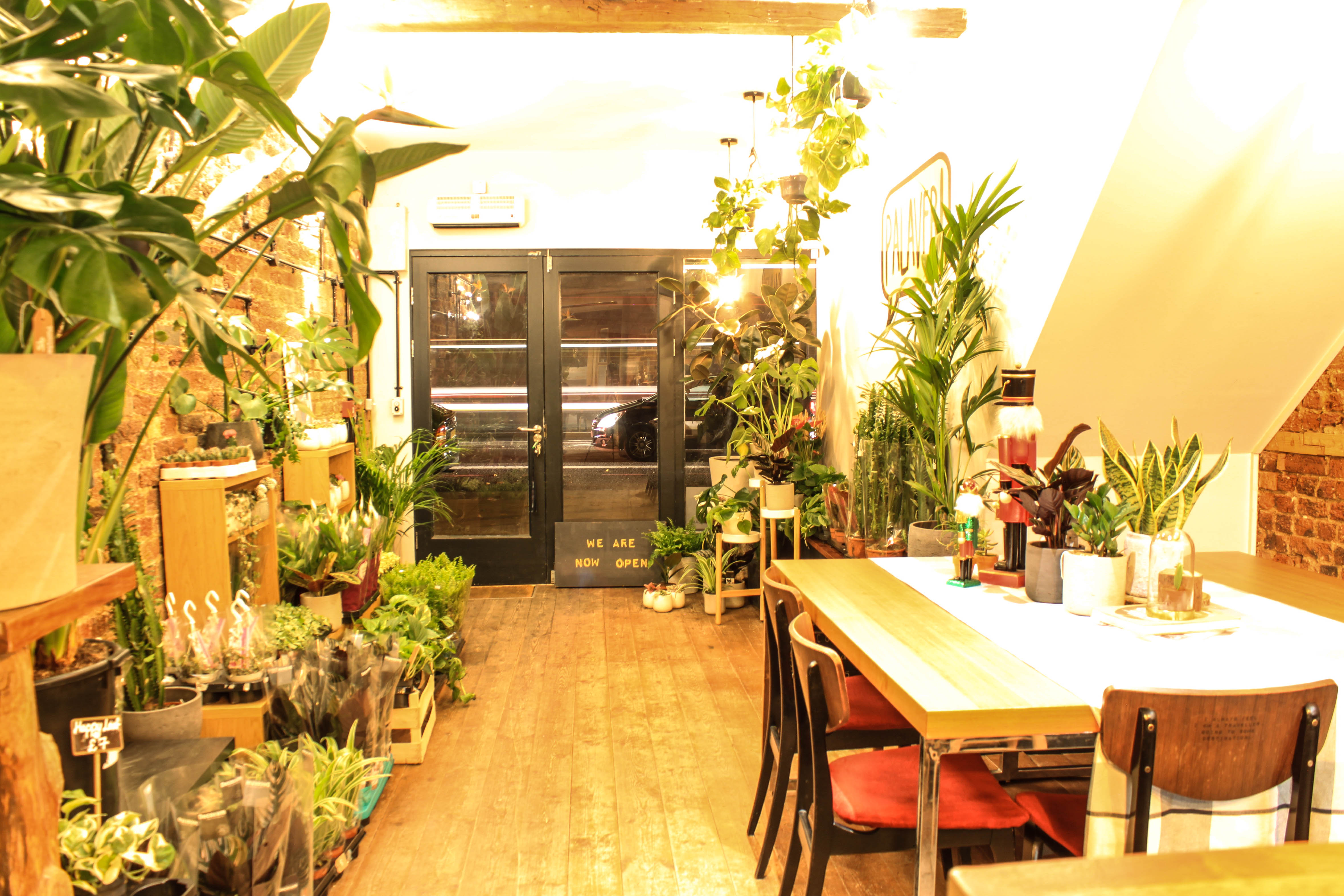 Vibrant plant-filled meeting space at The Travel Cafe for creative gatherings.