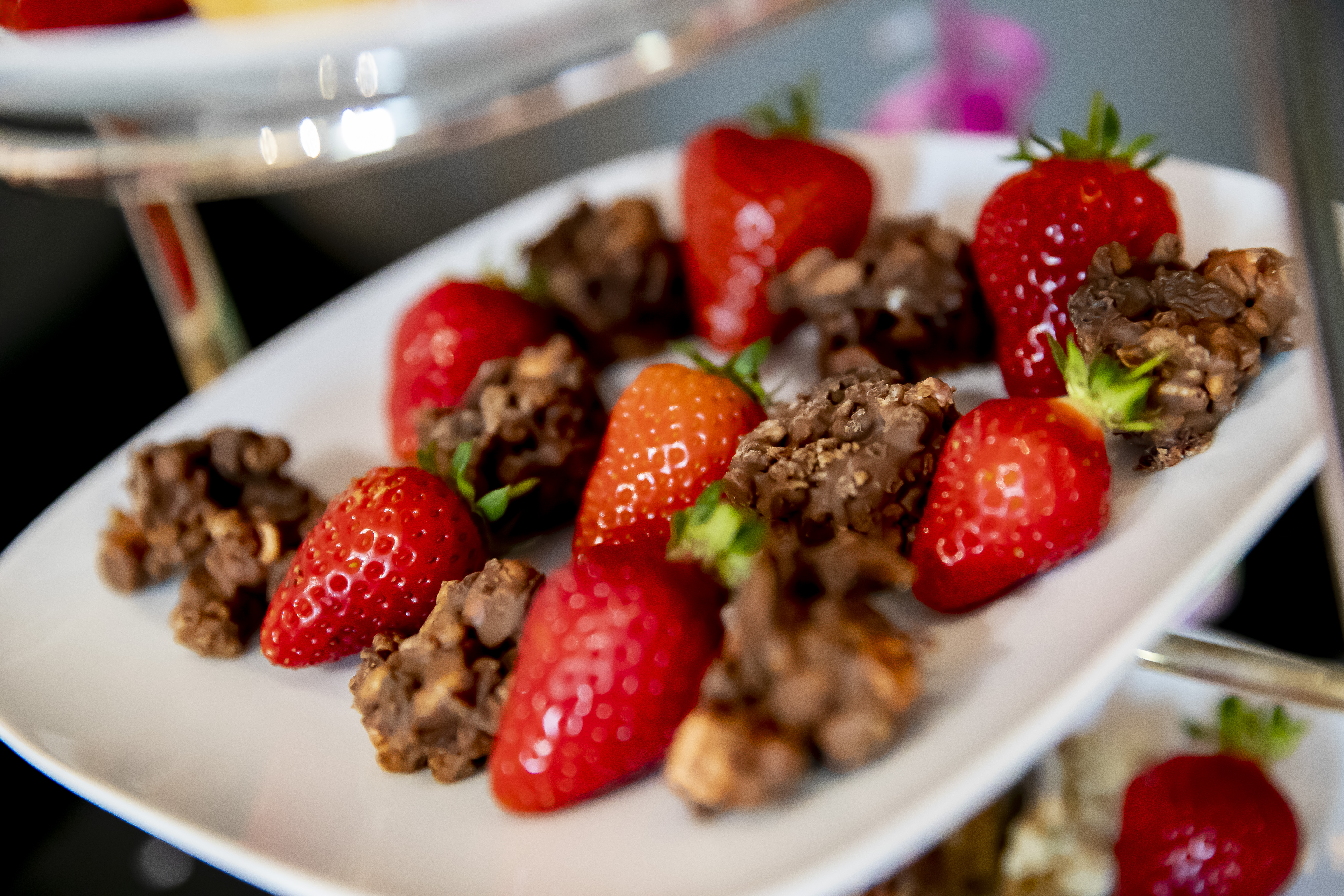 Utopia Suite - naixxdfpmwy.jpg