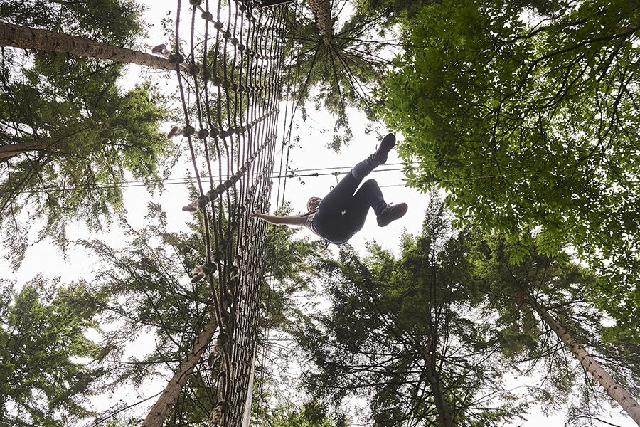 Individual on high ropes course at Go Ape Cockfosters for team-building adventure.