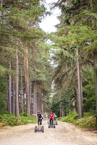 Serene forest pathway at Go Ape - Black Park, ideal for outdoor retreats and team-building events.
