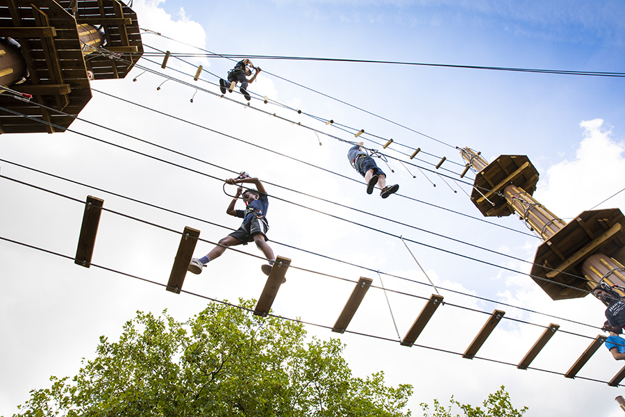 High ropes course at Go Ape, Alexandra Palace for team-building events and outdoor fun.
