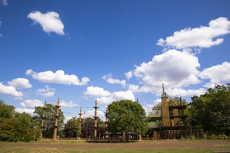 Go Ape Alexandra Palace venue with high ropes for team-building and corporate retreats.