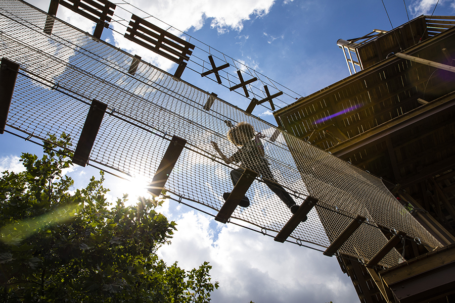 Participant on high ropes course at Go Ape, ideal for corporate team-building events.