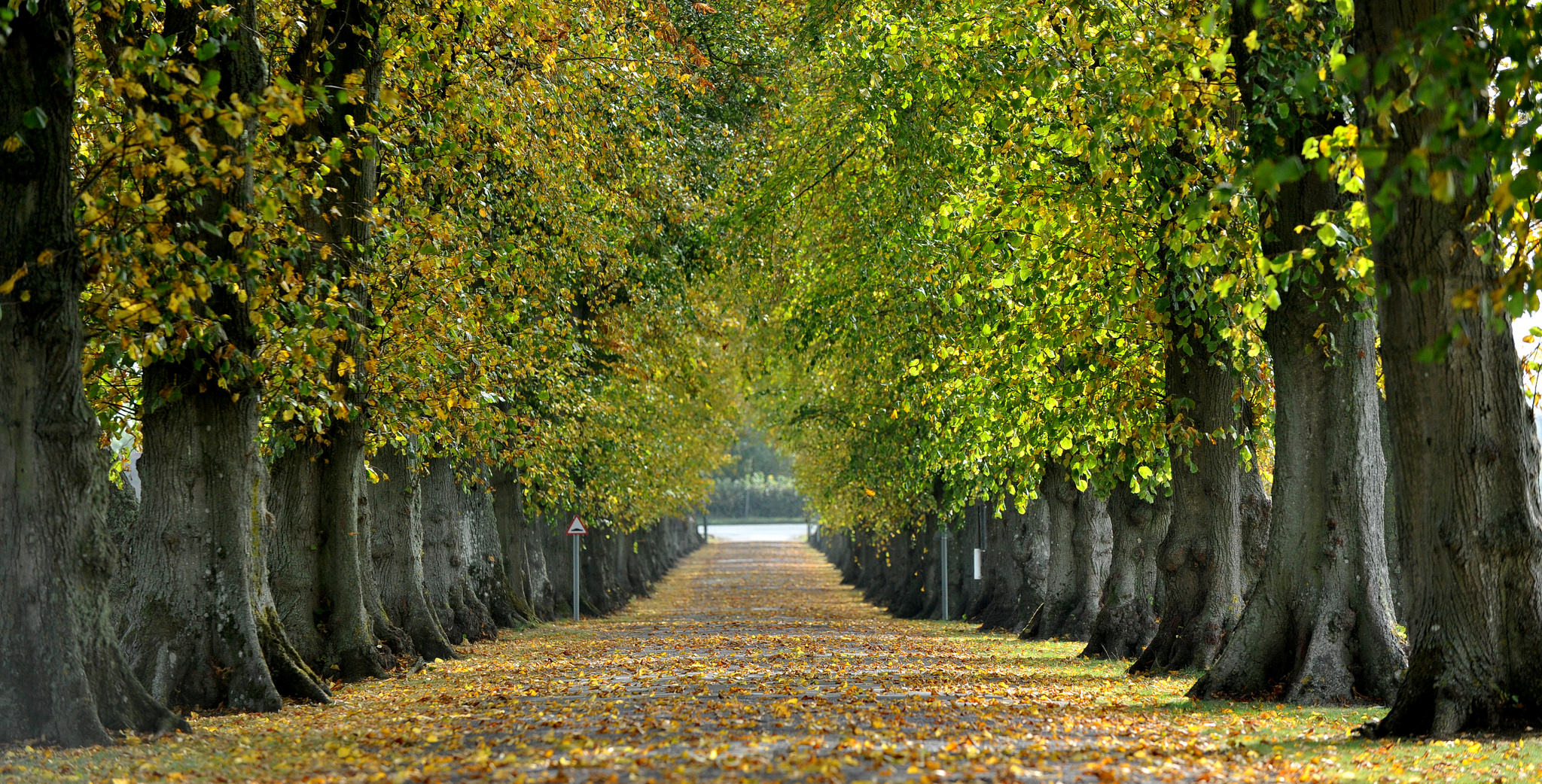 Entire Venue - 3vd1svgojp0.jpg