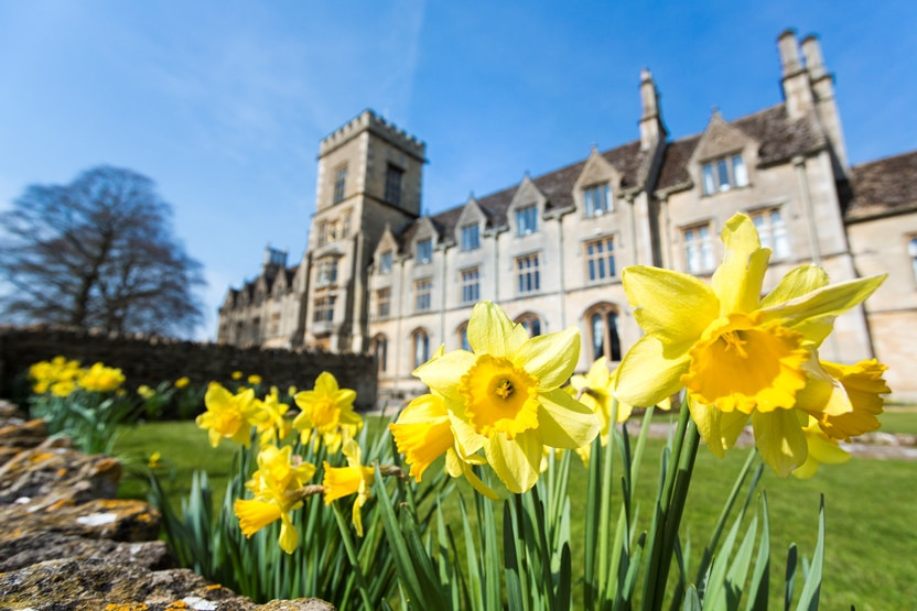 Picturesque outdoor venue at Royal Agricultural University with daffodils, ideal for weddings.