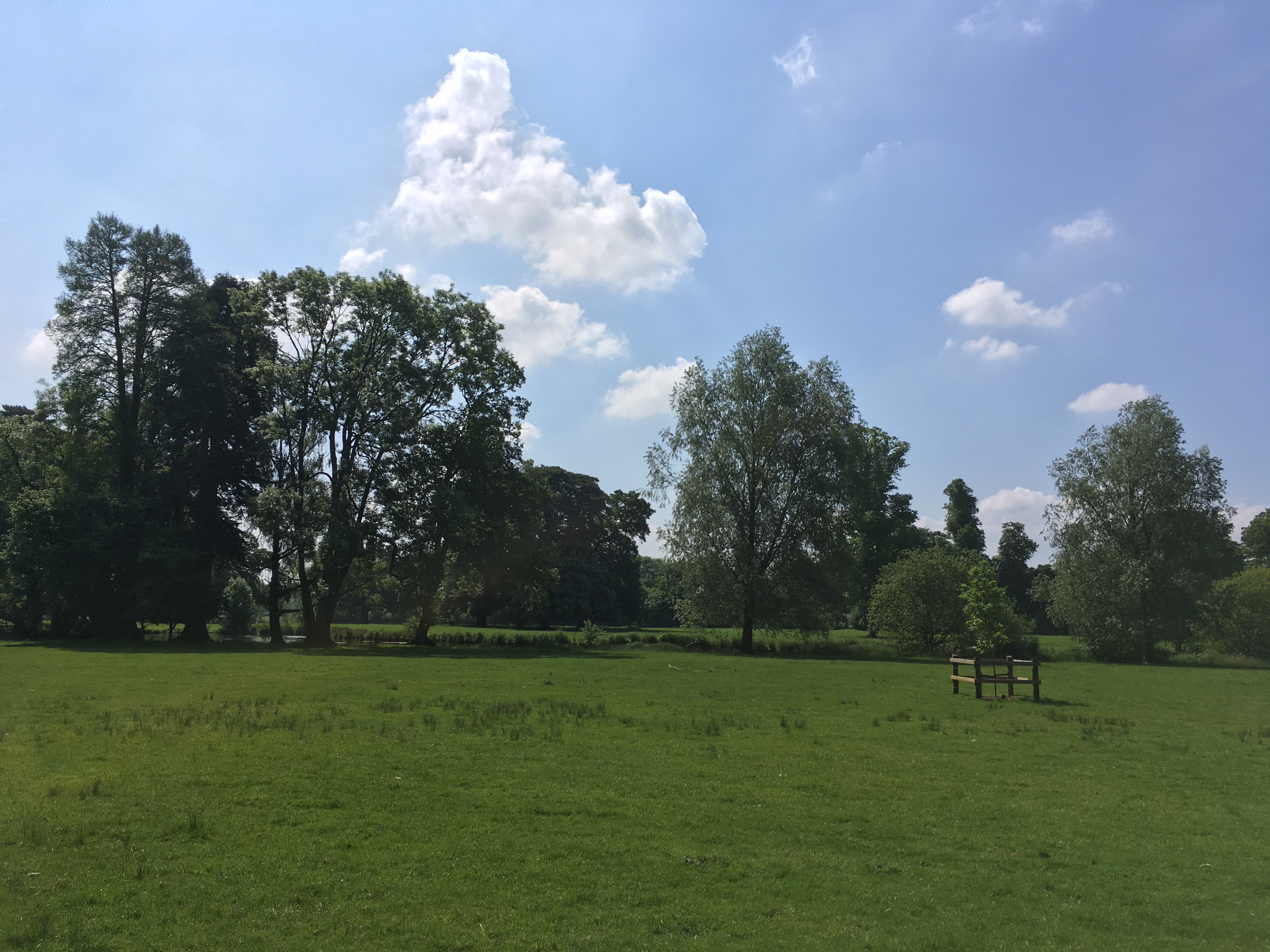 Woodland Lodge outdoor venue with lush greenery, ideal for events and gatherings.