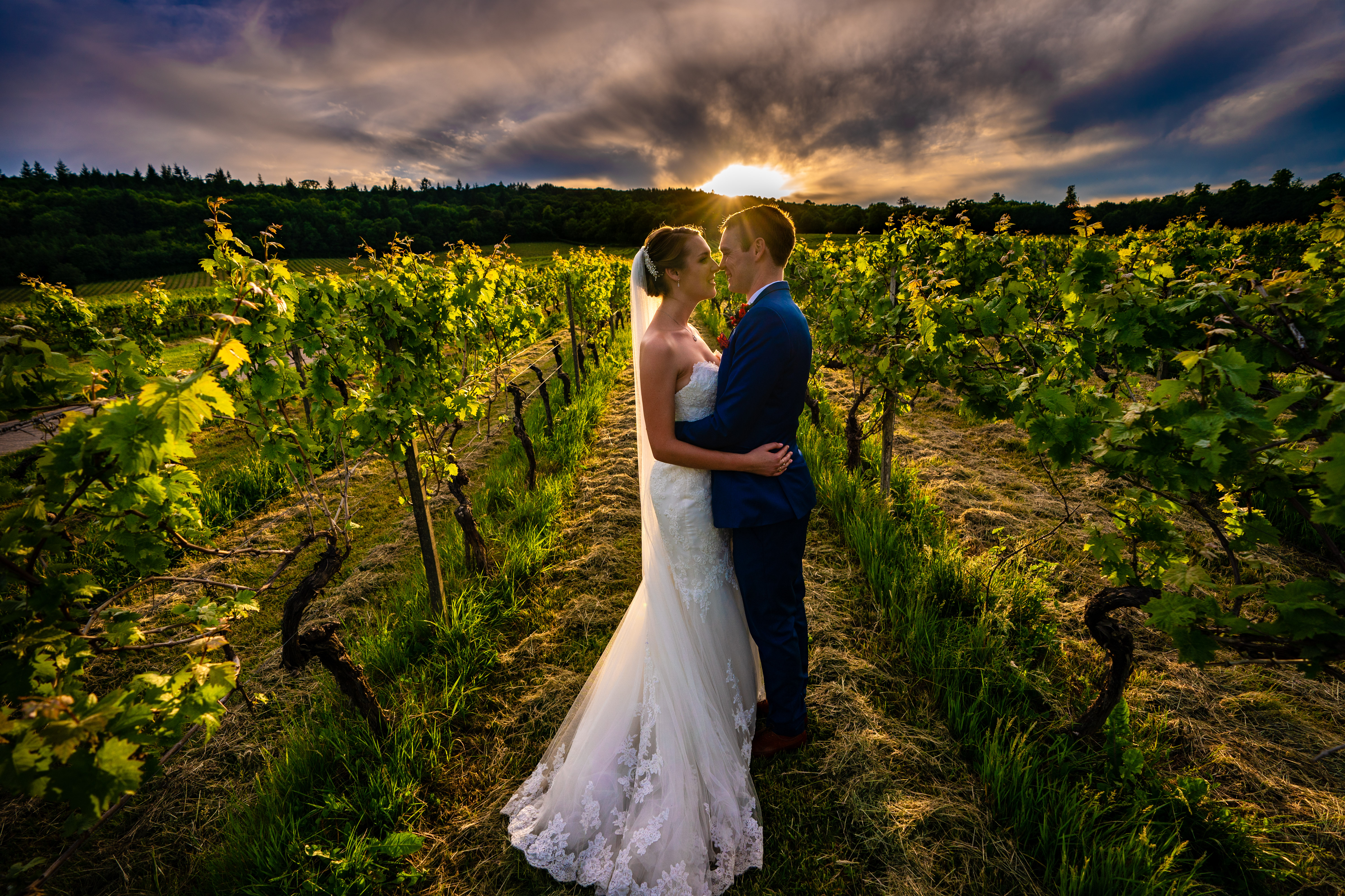 "Denbies Wine Estate Conservatory, romantic vineyard wedding venue with lush greenery."
