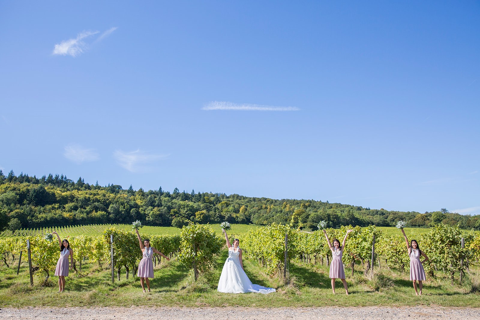 Denbies Wine Estate Conservatory: lush vineyard backdrop for outdoor weddings and events.