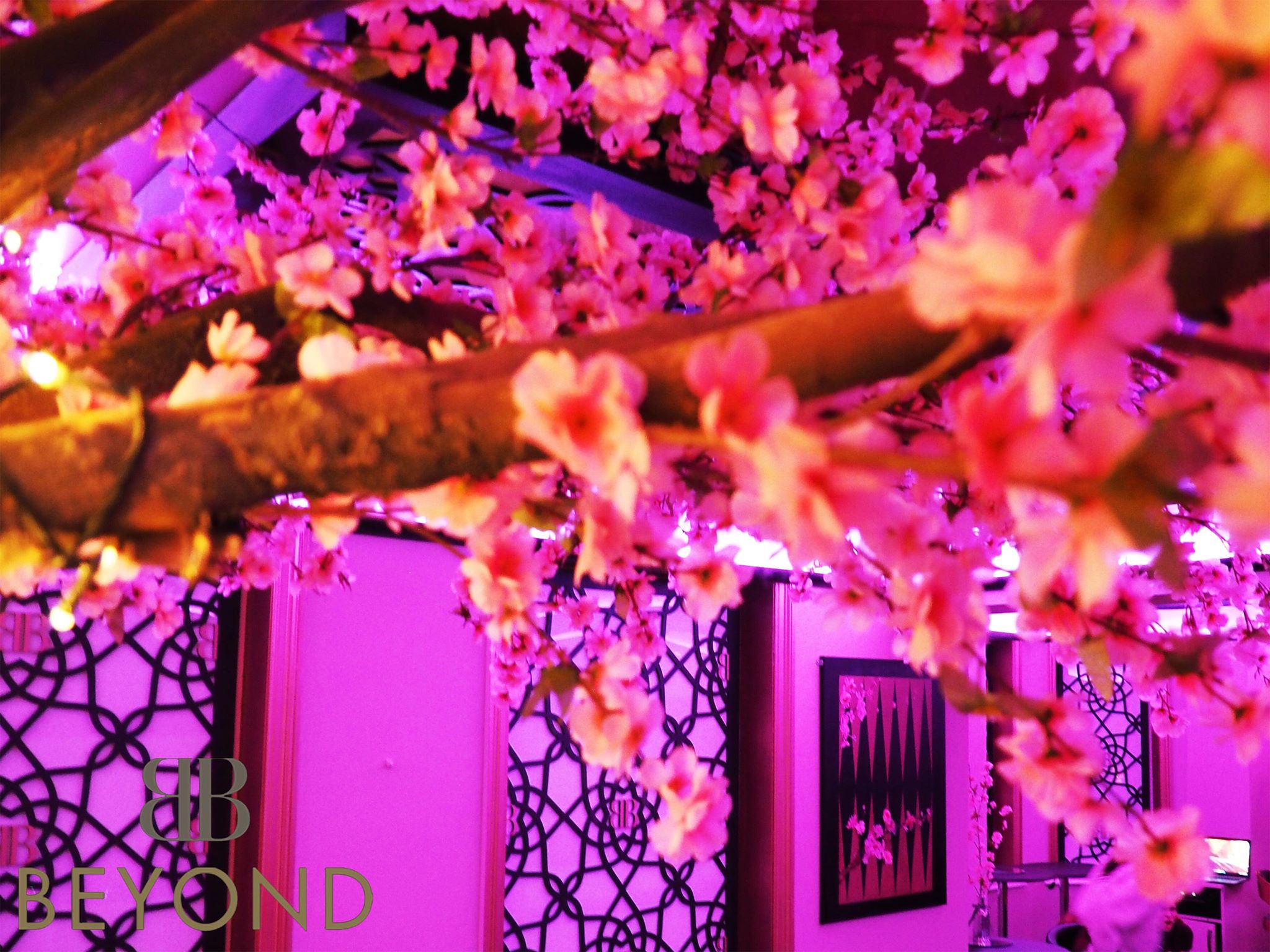 Main function Room - 2u5tyx04n1e.jpg