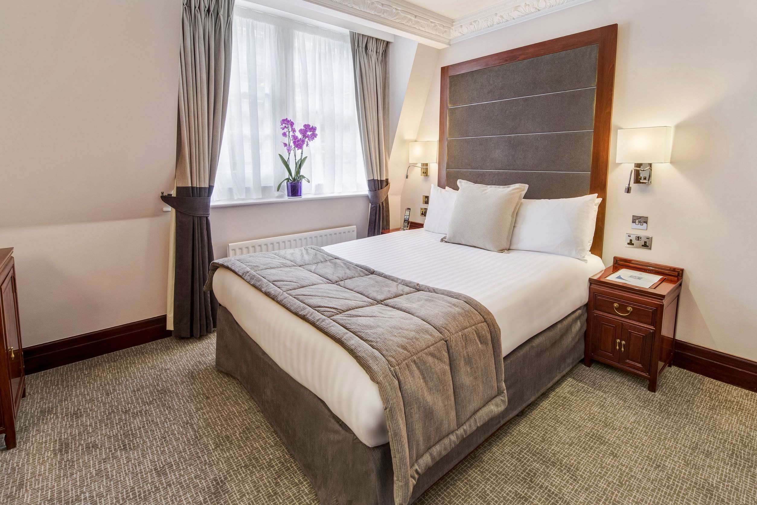 Portland Suite - 3lphxzqbbpb.jpg