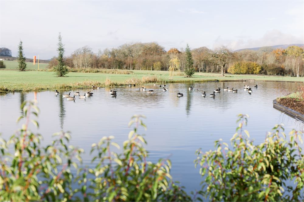Lakeside Suite at Crow Wood Hotel, serene pond for corporate retreats and team-building.