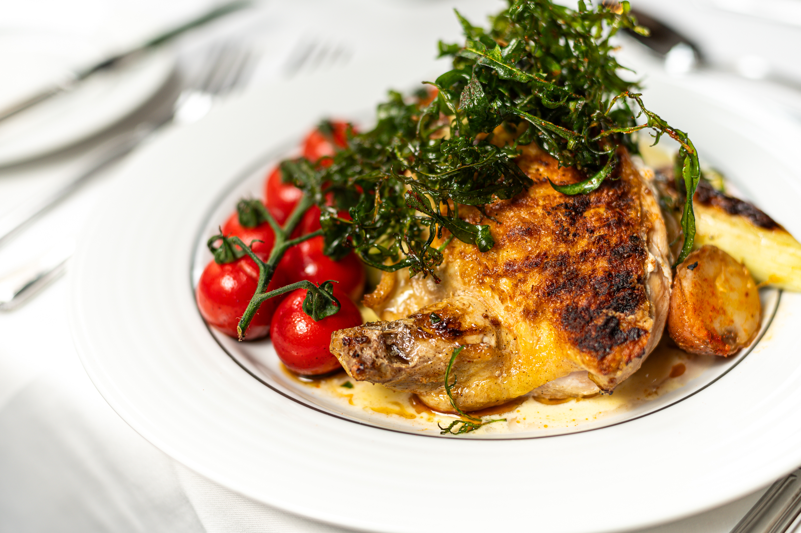 Library Suite  - 5zmnxf5yf45.jpg