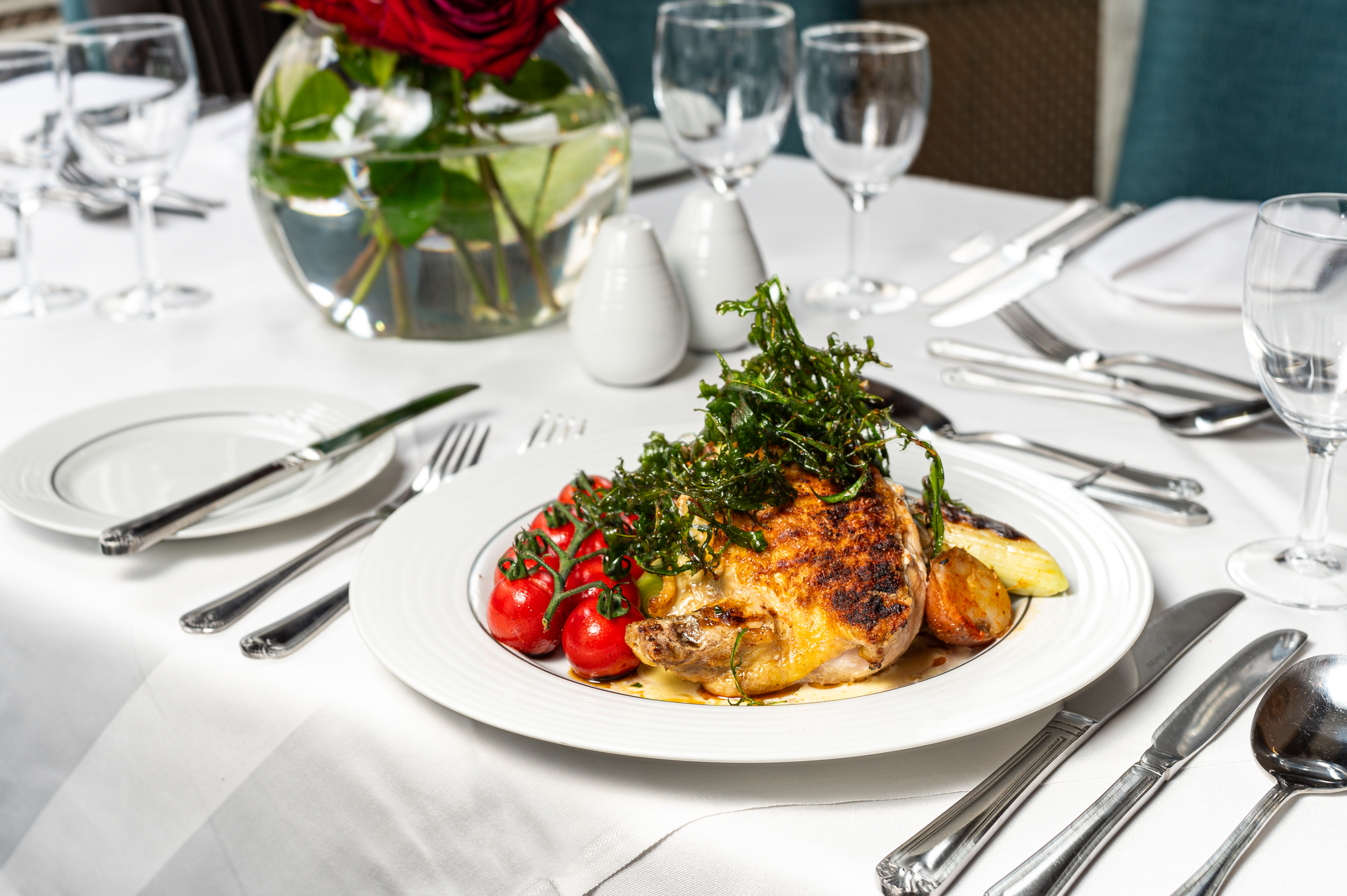 Library Suite  - dwuhikj1egi.jpg