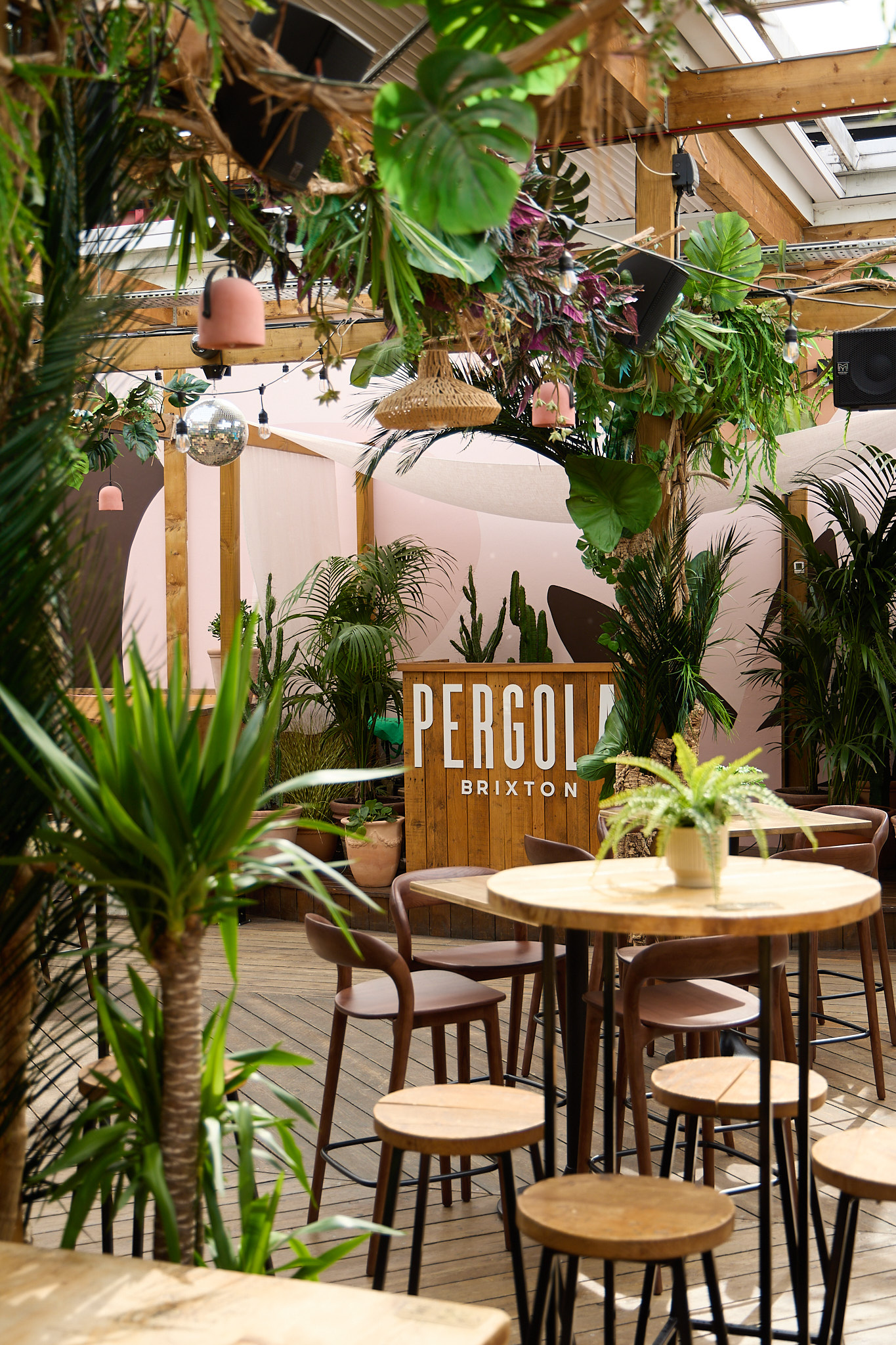 Pergola Brixton - image 6