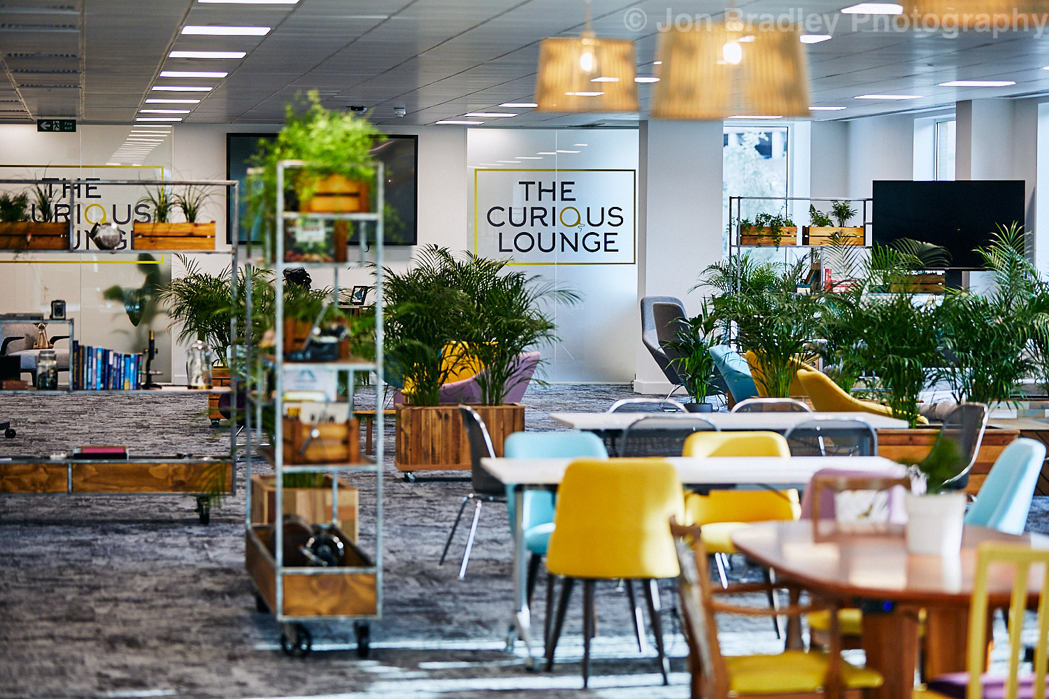 The Lounge - 3mi4qjh1glk.jpg
