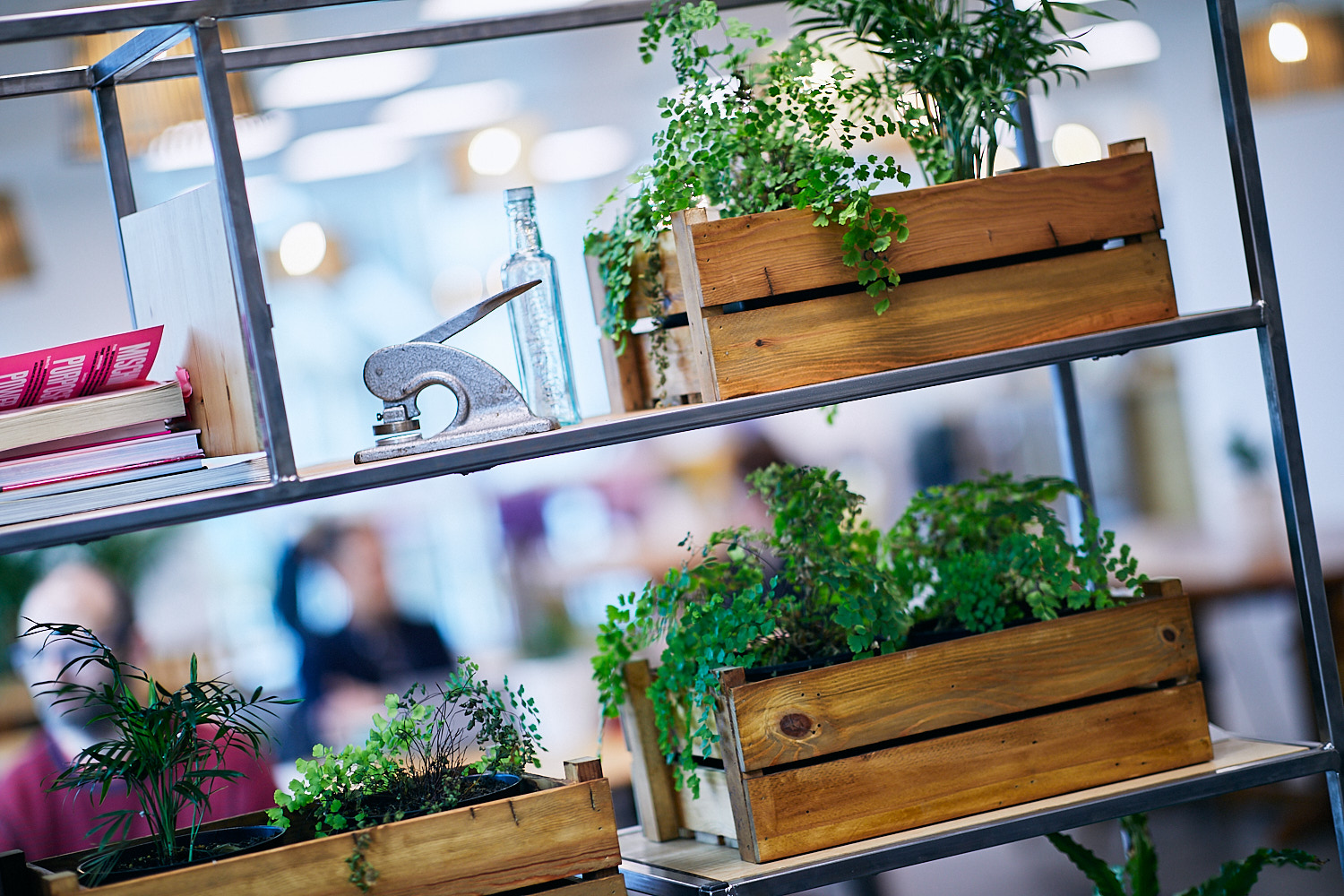 Modern workspace in The Curious Lounge with greenery, perfect for creative meetings.