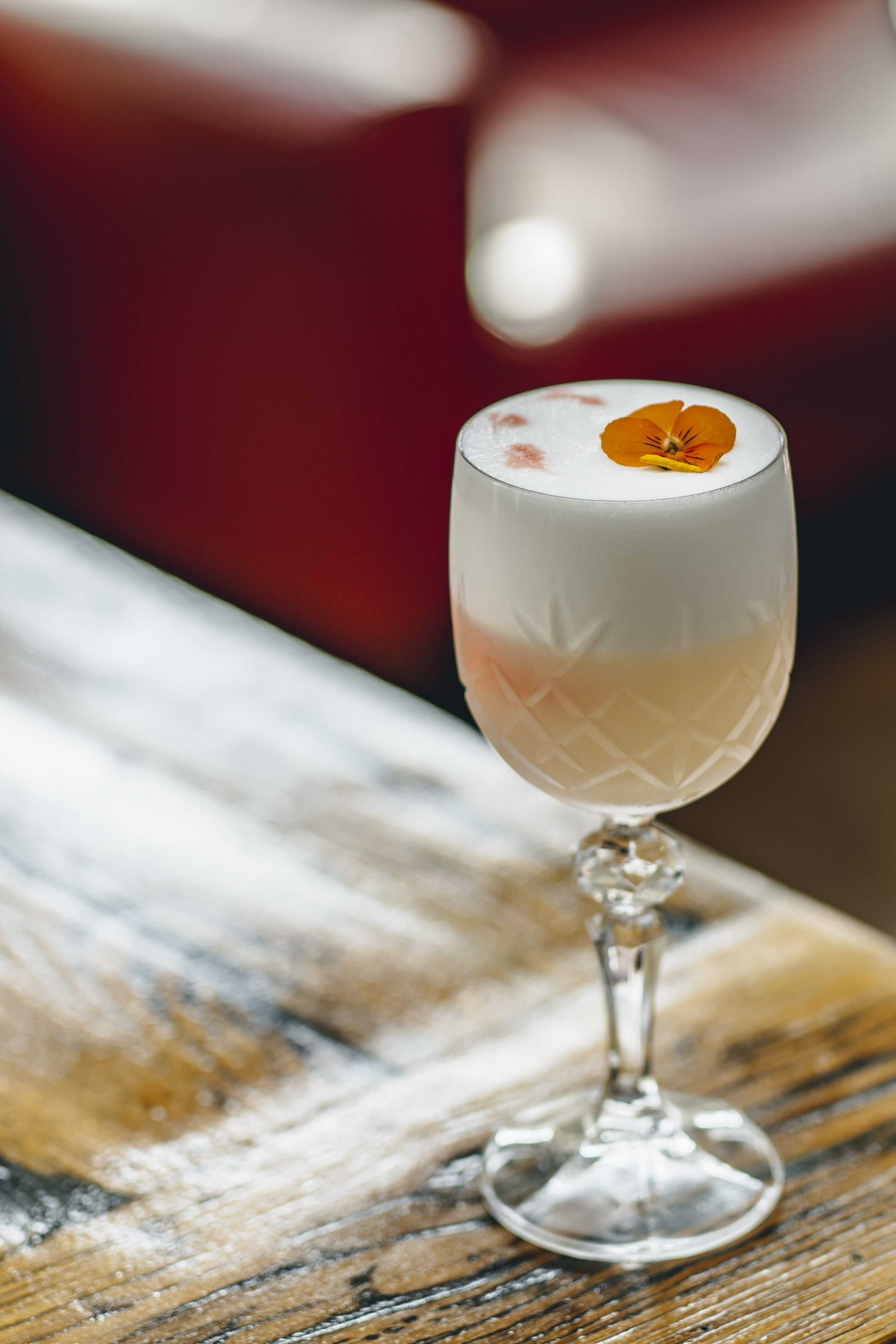 Cocktail with foam and edible flower at TOZI Restaurant & Bar for events and meetings.