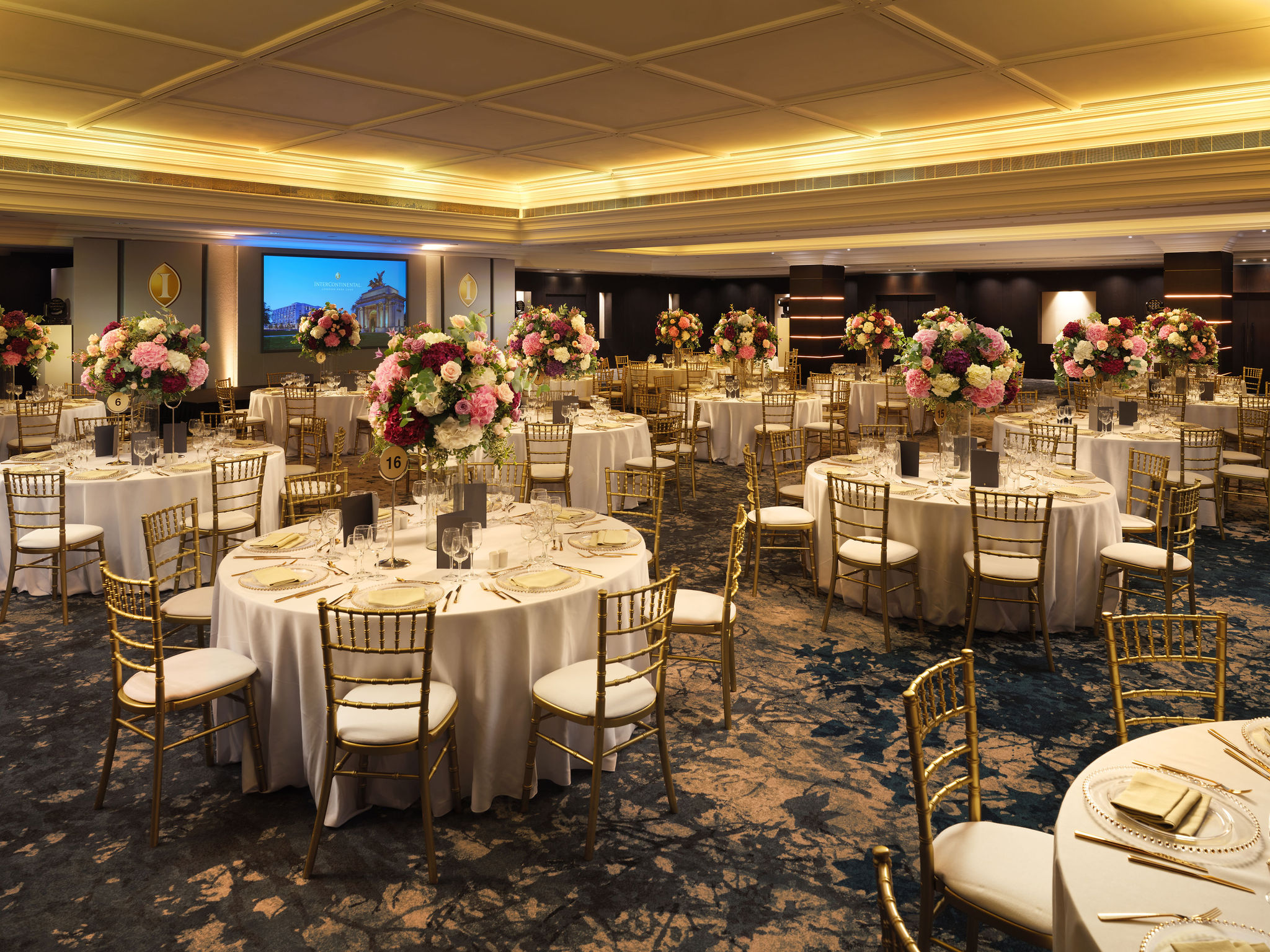 Ballroom - wwf2vuymuad.jpg