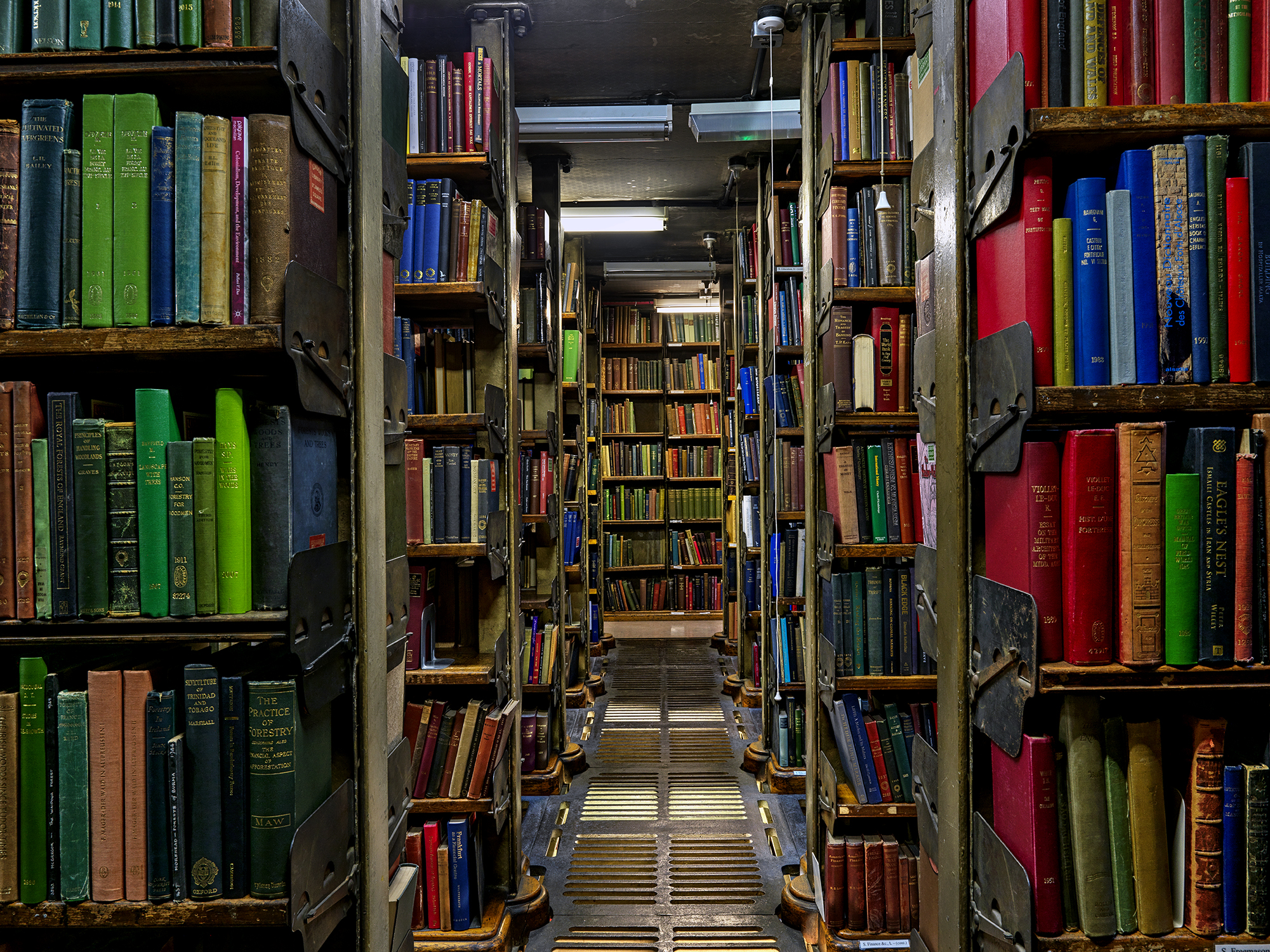 Whole Venue in The London Library with colorful books, ideal for workshops and events.