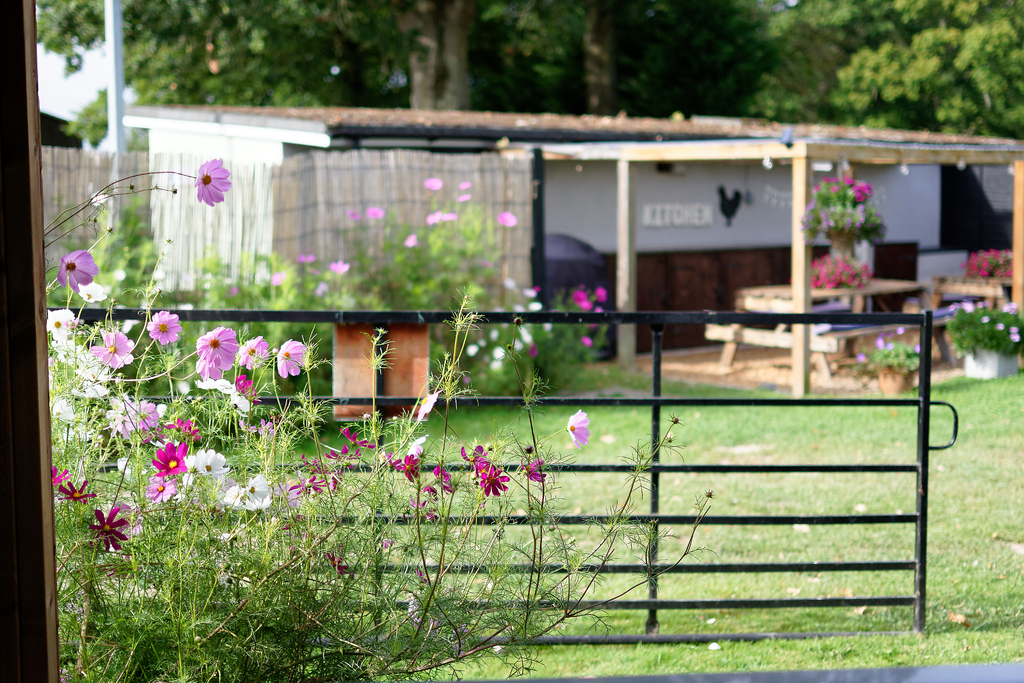 Charming glamping field with vibrant flowers, ideal for weddings and retreats.
