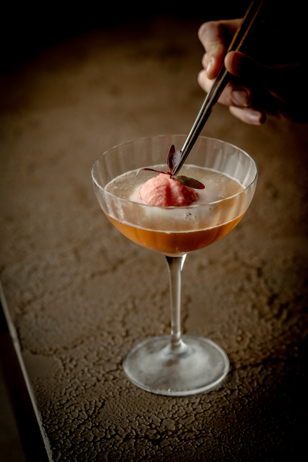 The Malt Lounge & Bar - 2llgmbxkeap.jpg