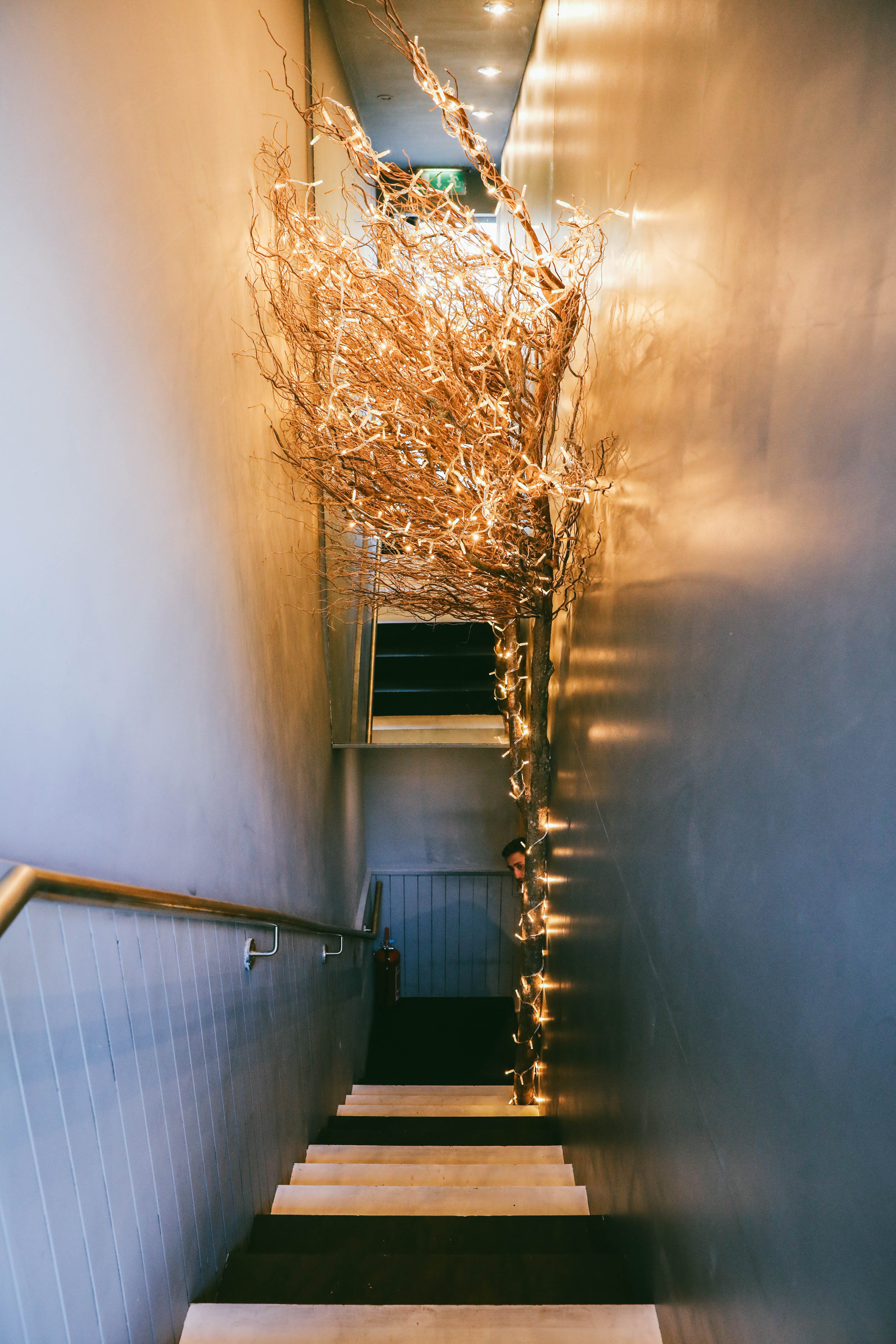 Softly lit entryway of Sandy's Piano Bar, perfect for networking events and gatherings.