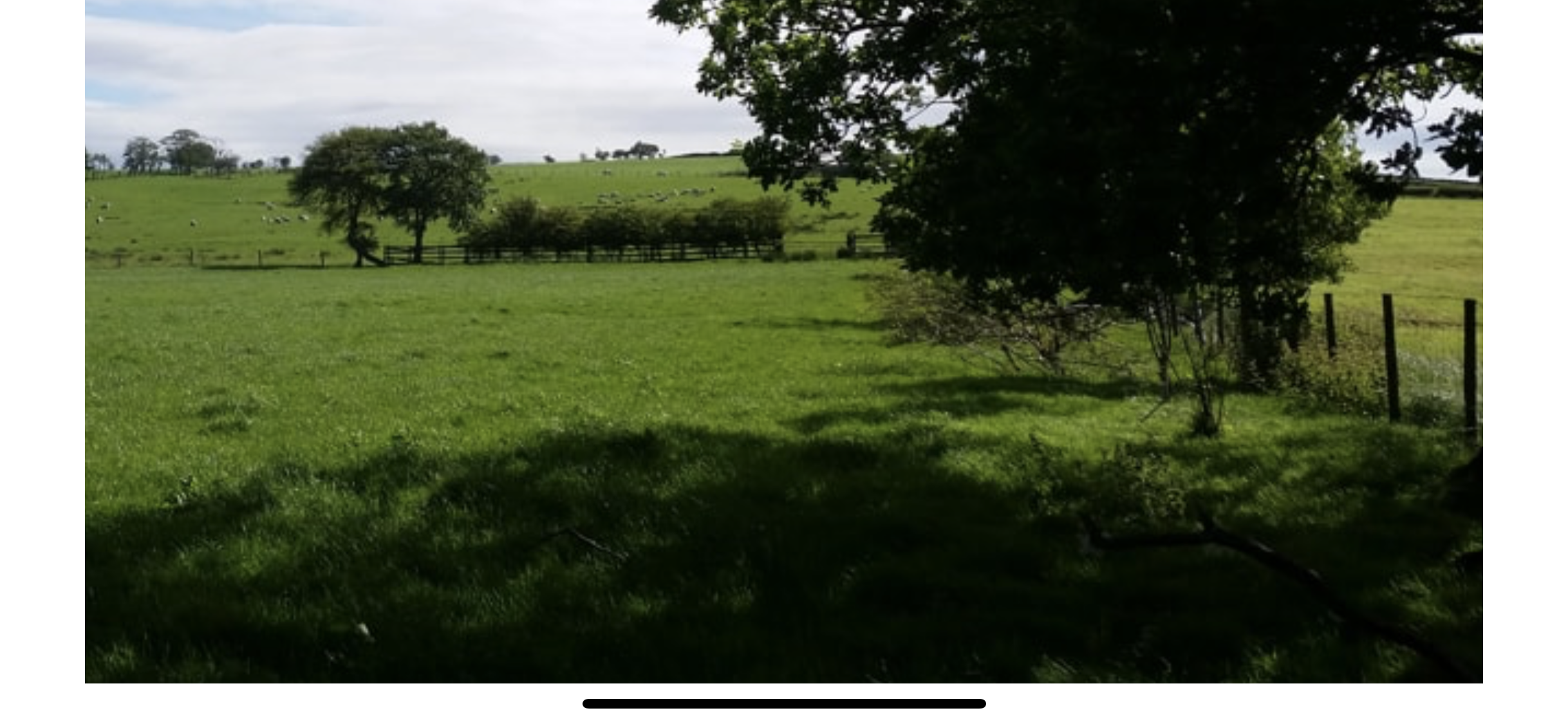 Serene outdoor venue in Wyresdale, ideal for team-building retreats and wellness workshops.