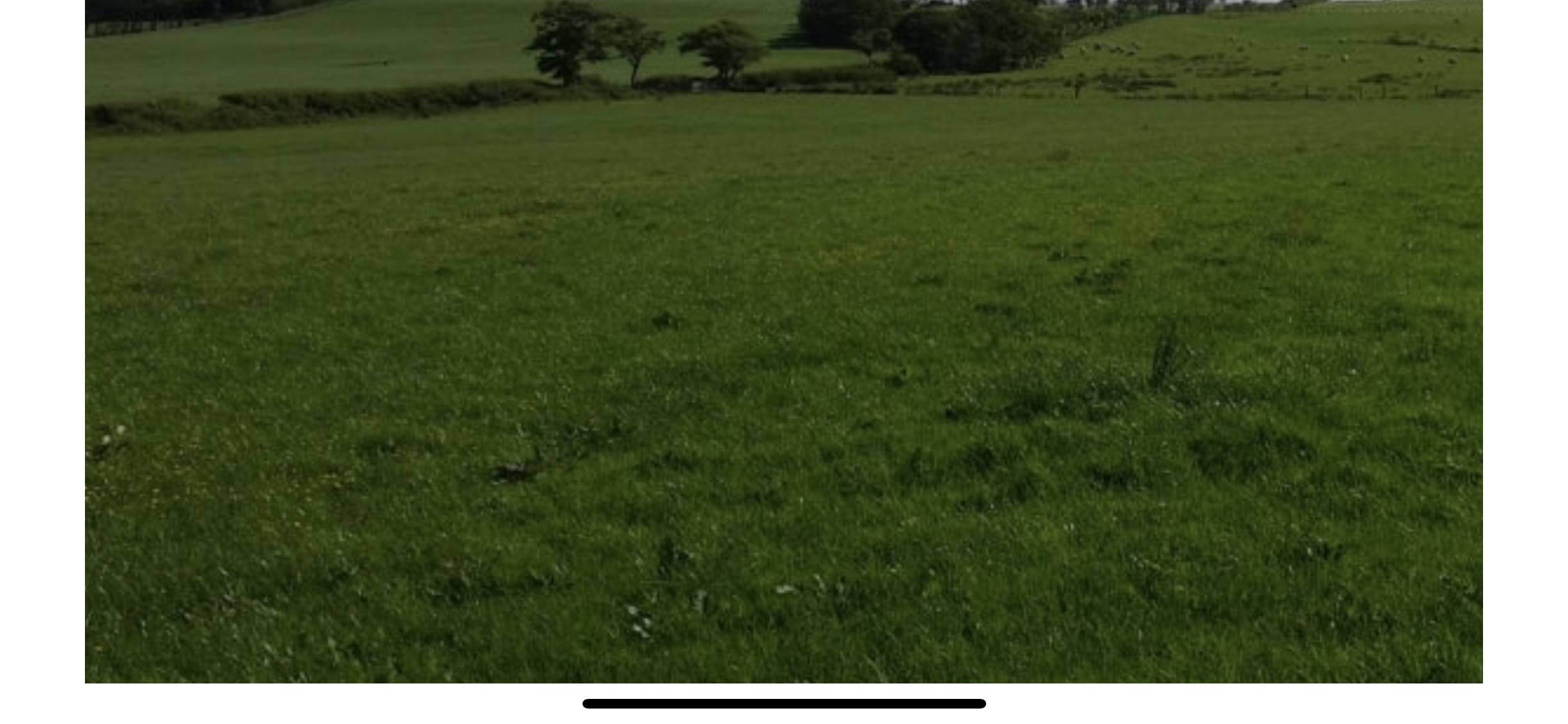 Lush green field venue in Wyresdale for outdoor events and team-building activities.