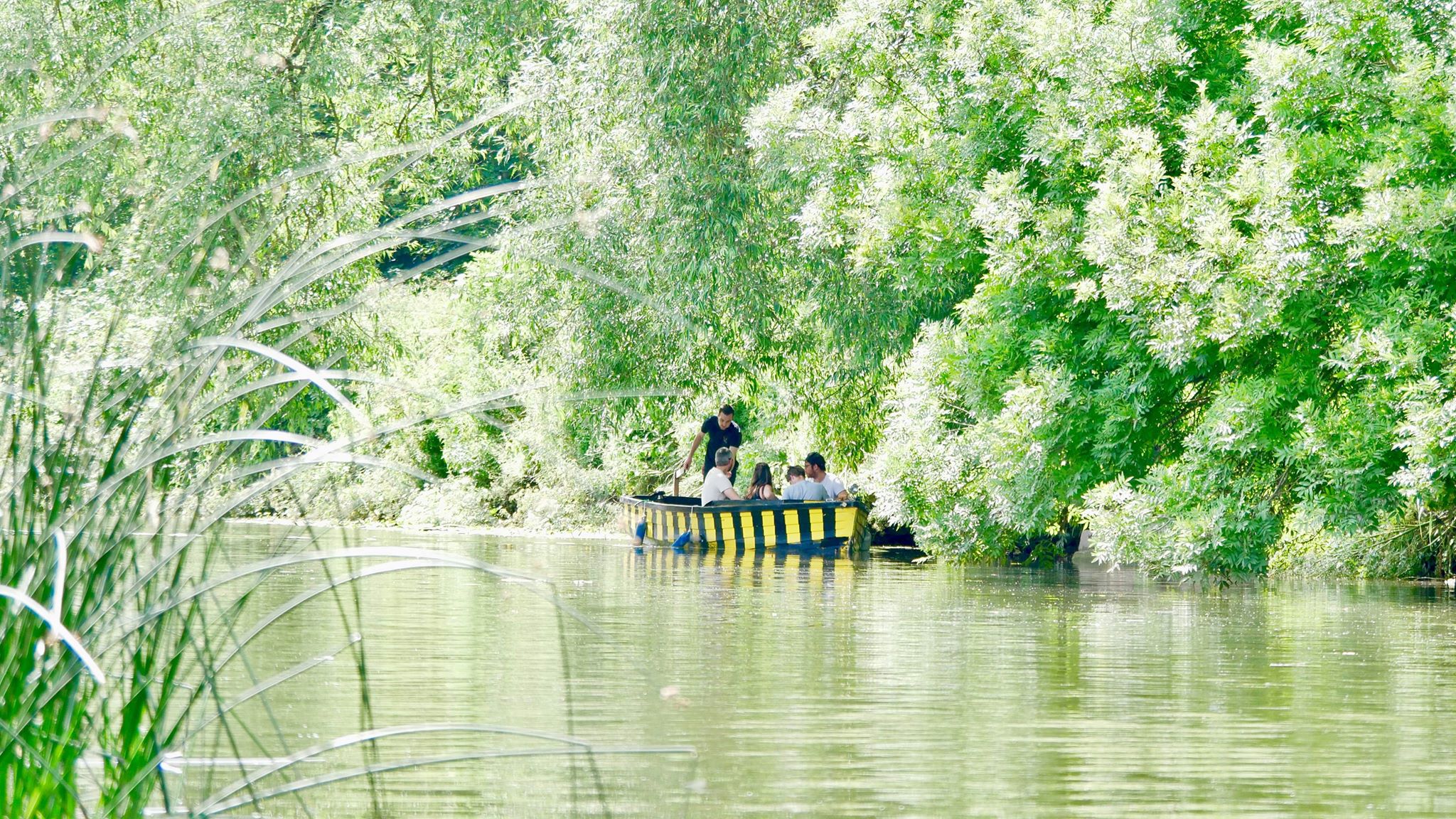 Whole Venue - 1lst4dzu3jm.jpg