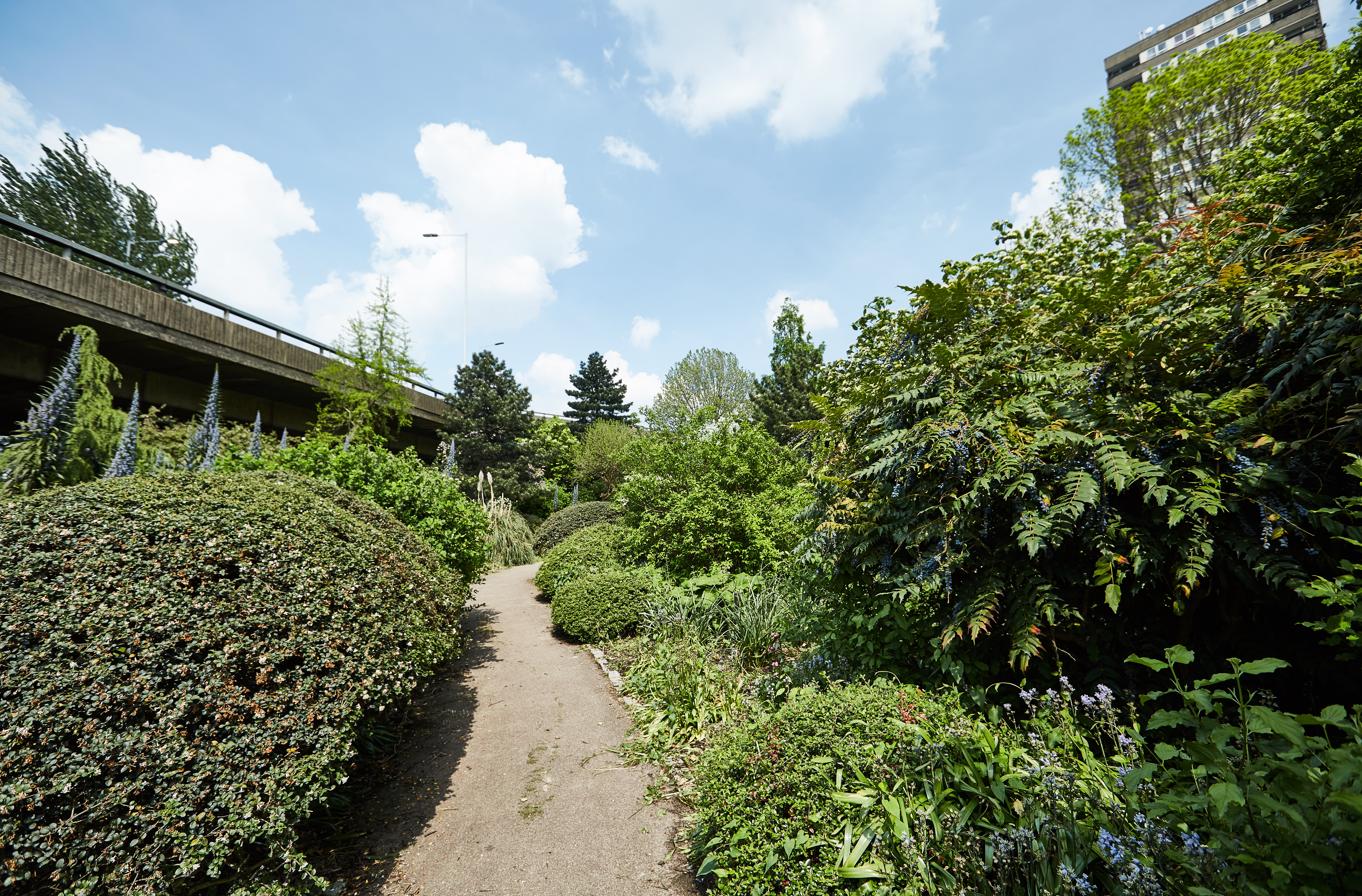 Lush green pathway at Westway Sports & Fitness Centre for outdoor events and retreats.