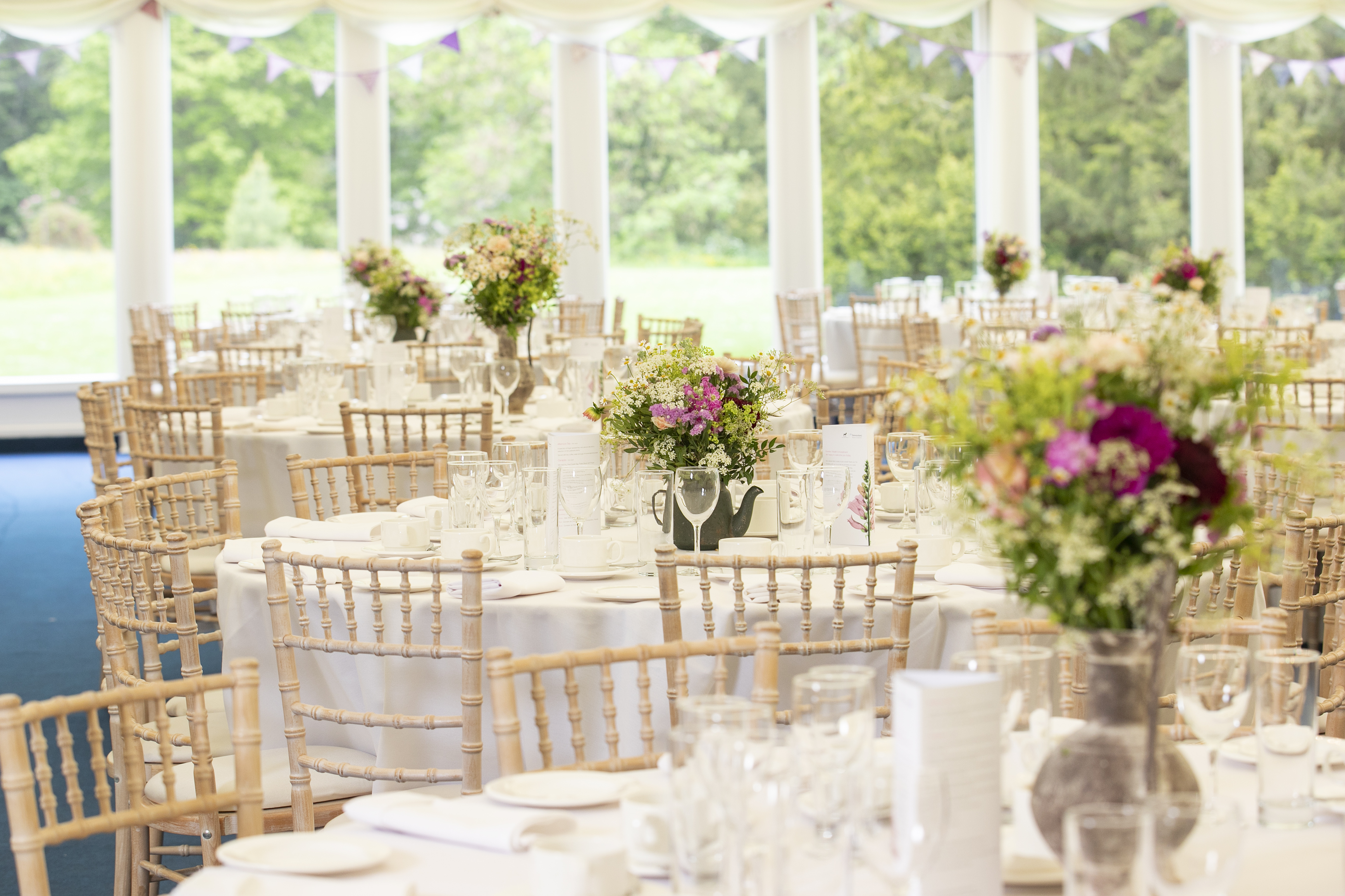 Marquee Sites - 4zgfno5fivp.jpg