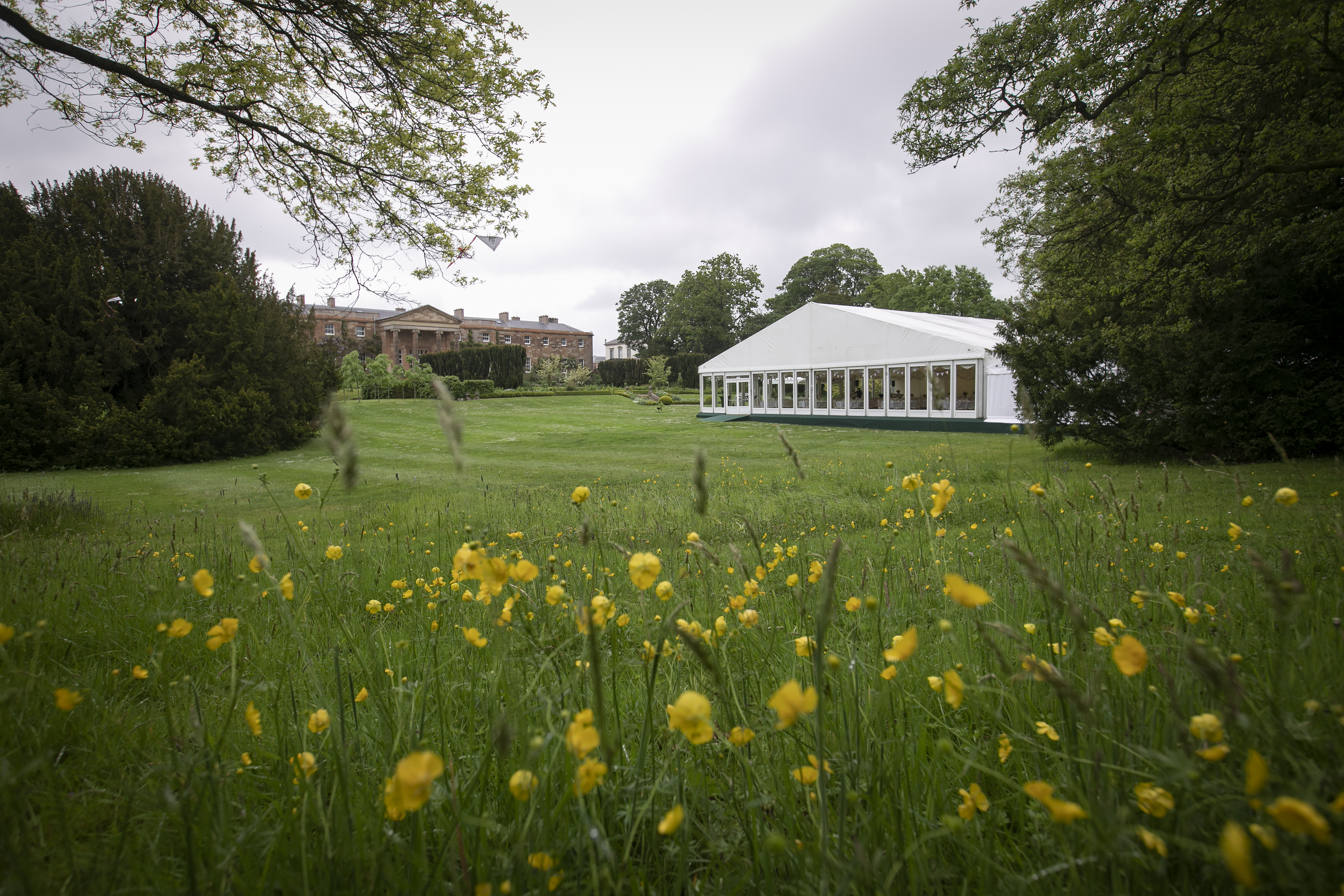 Marquee Sites - 3rpbo0ioqkf.jpg